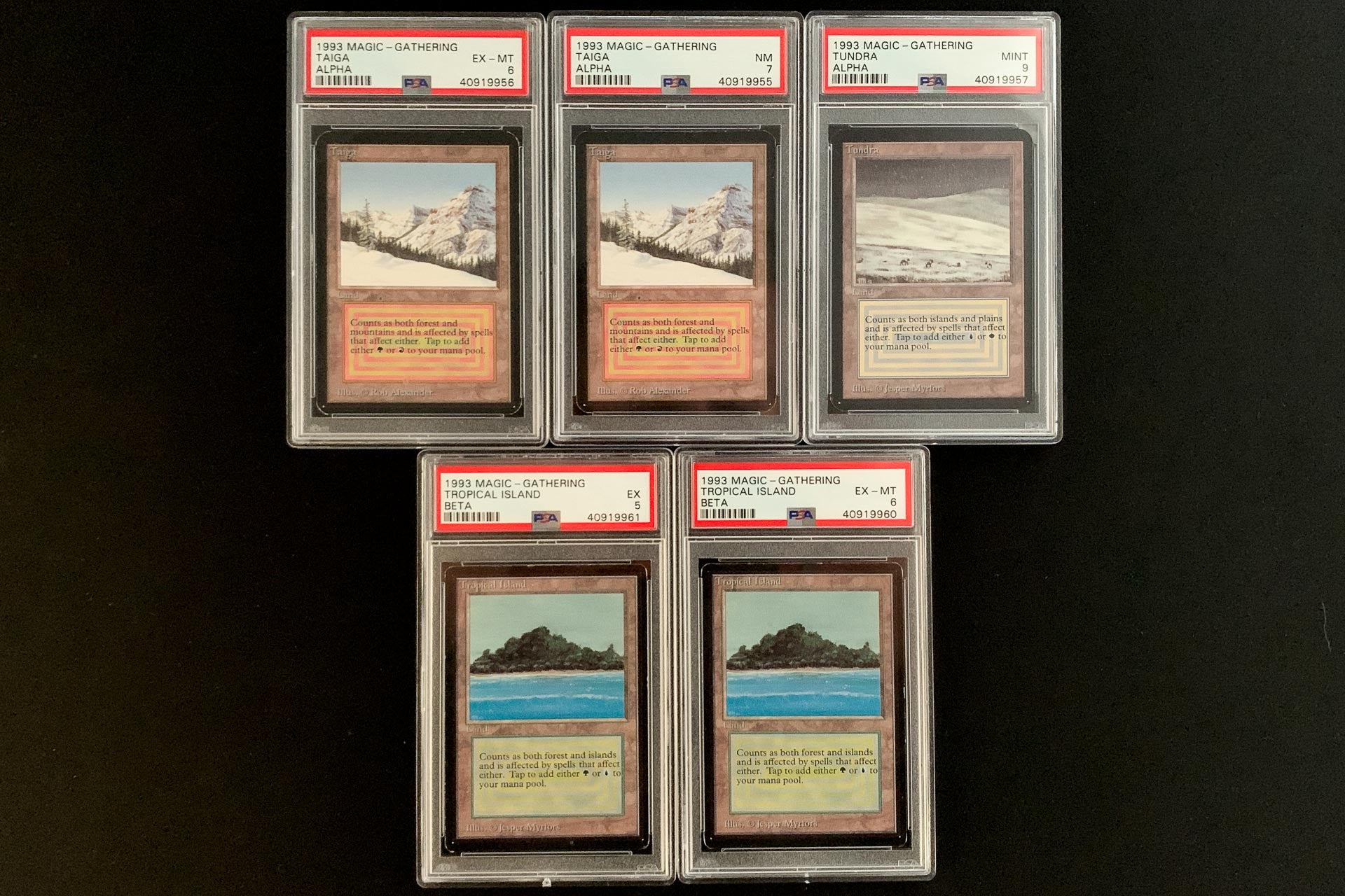 how many dual lands in a revised booster box New Arrivals: Foreign Black Bordered Sealed Boosters, Boxes and Duals!