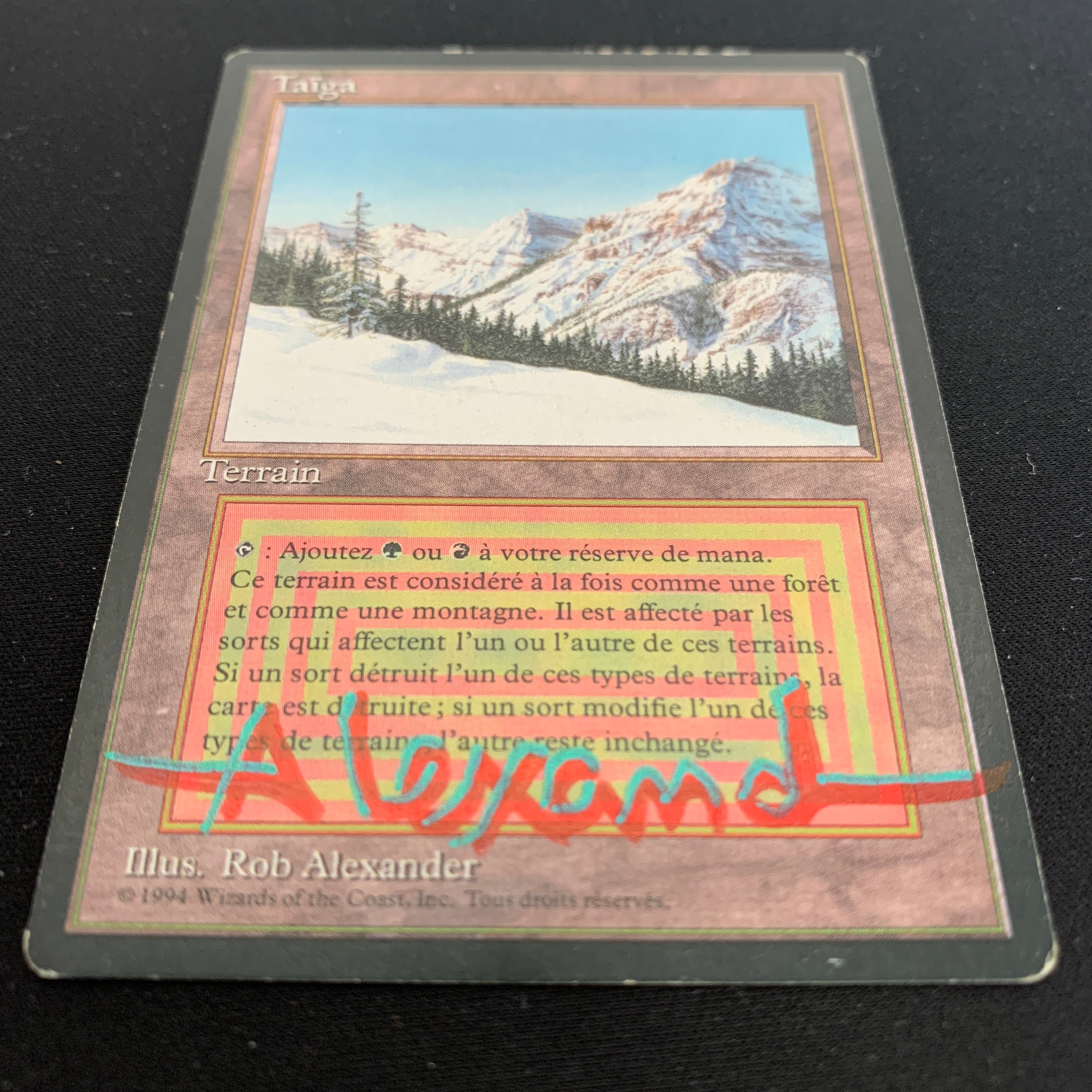 MTG Singles - Taiga - Foreign Black Bordered -