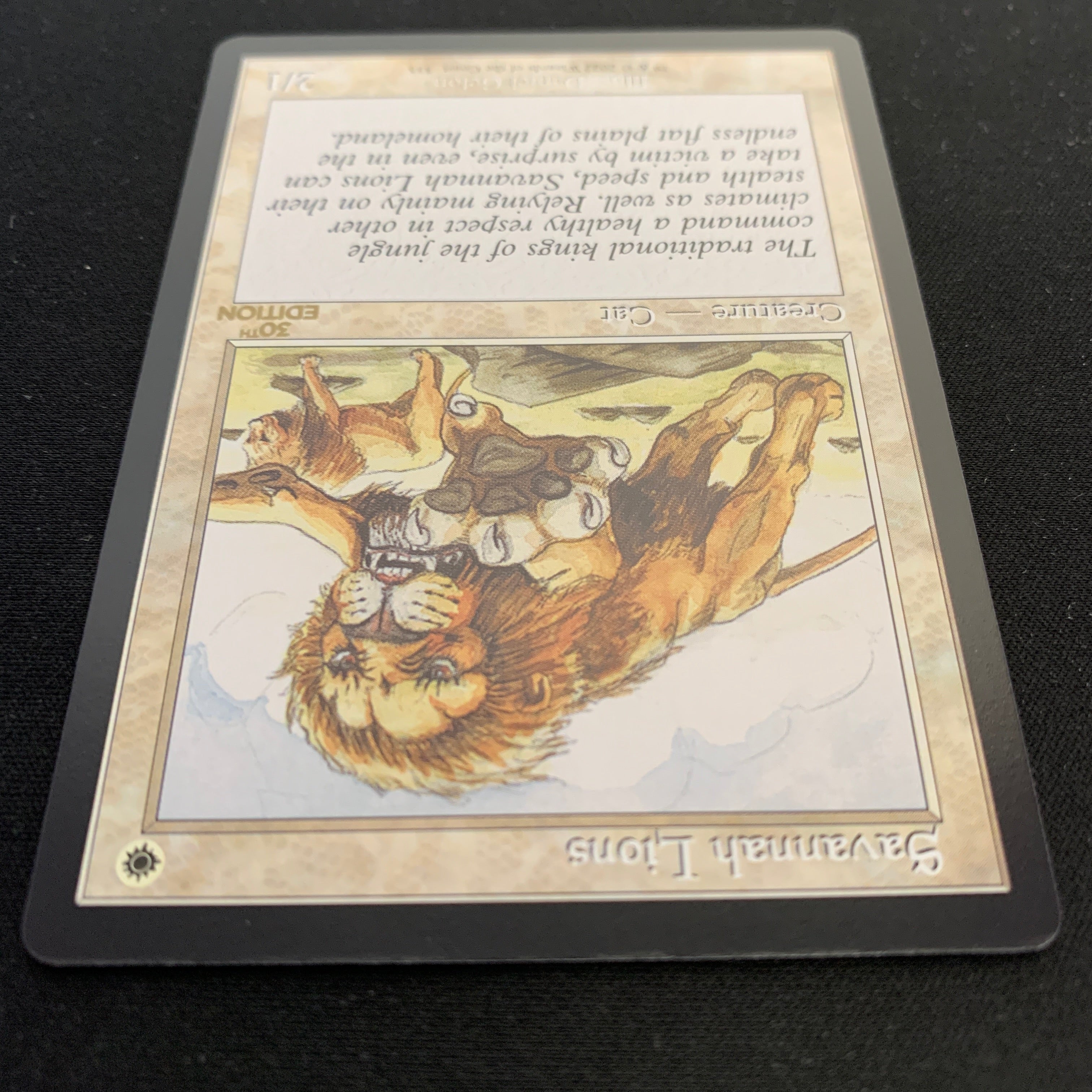MTG Singles - Savannah Lions (Retro Frame) - 30th Anniversary Edition -