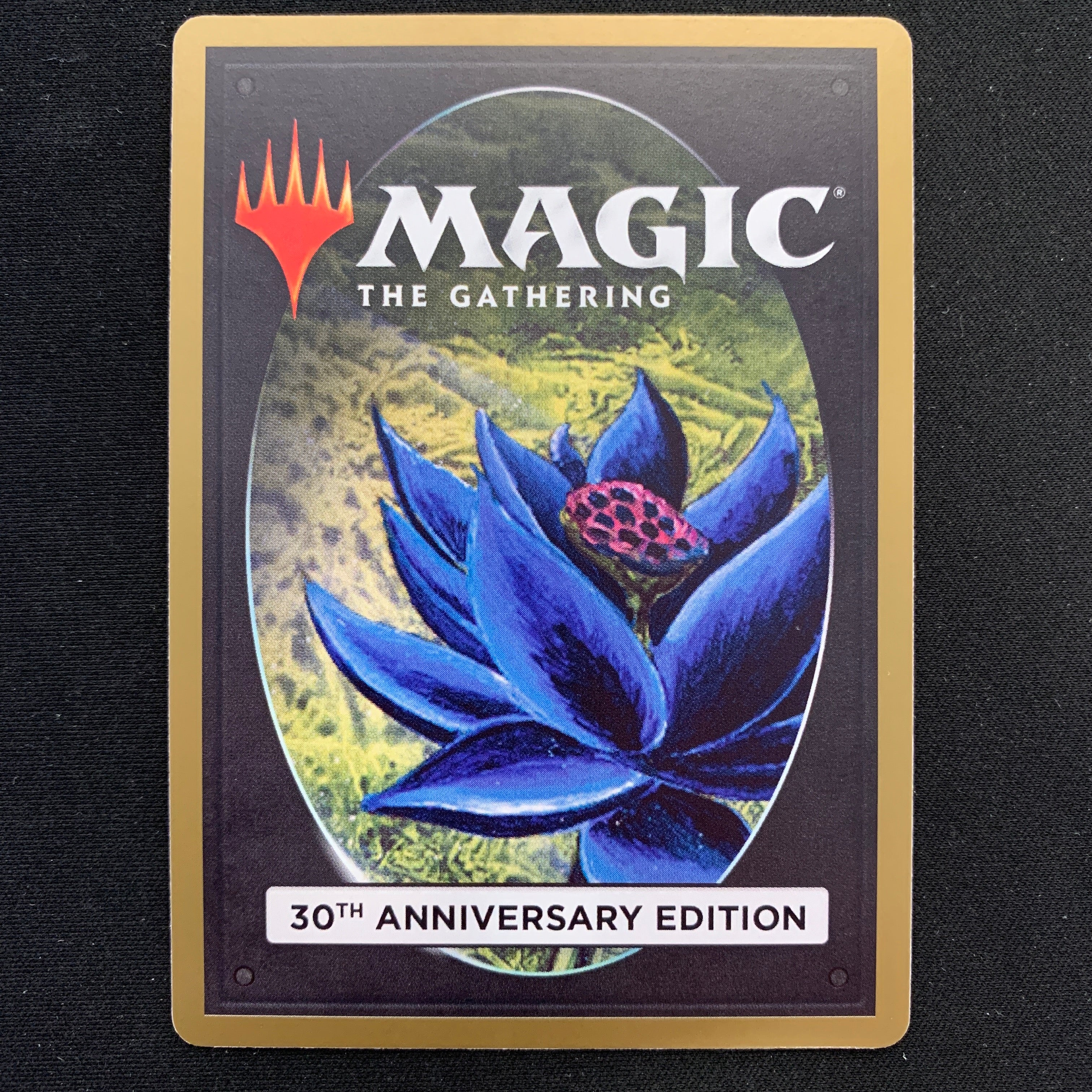 MTG Singles - Rock Hydra (Retro Frame) - 30th Anniversary Edition -