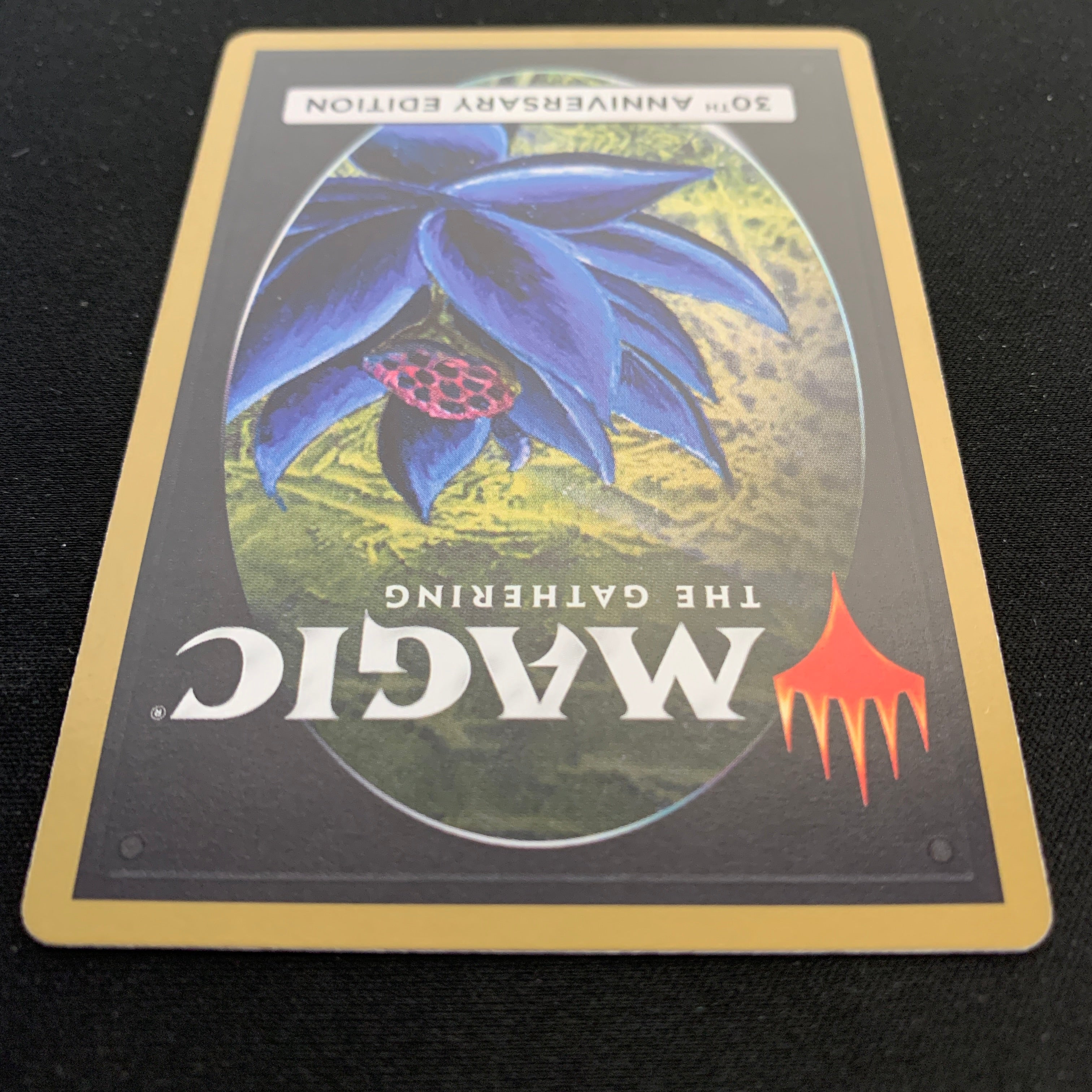 MTG Singles - Rock Hydra (Retro Frame) - 30th Anniversary Edition -