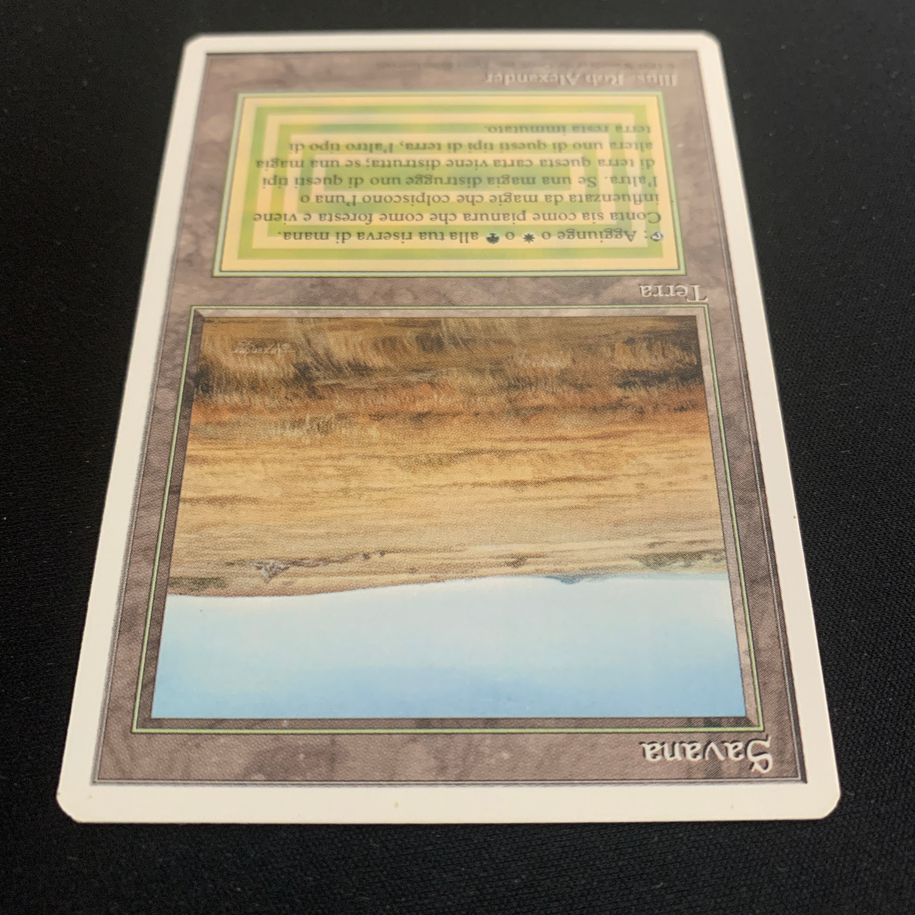 MTG Singles - Savannah - Foreign White Bordered -