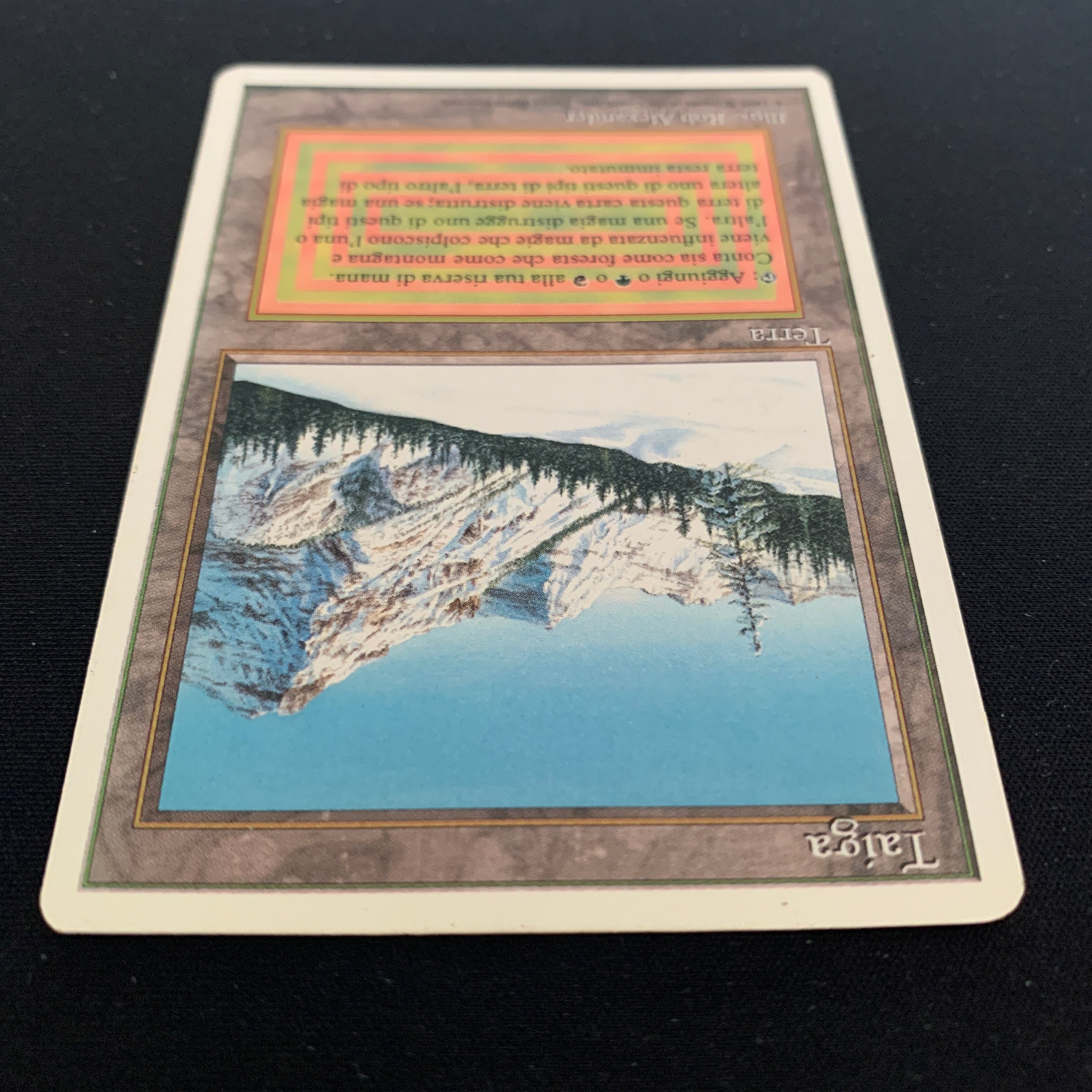 MTG Singles - Taiga - Foreign White Bordered -