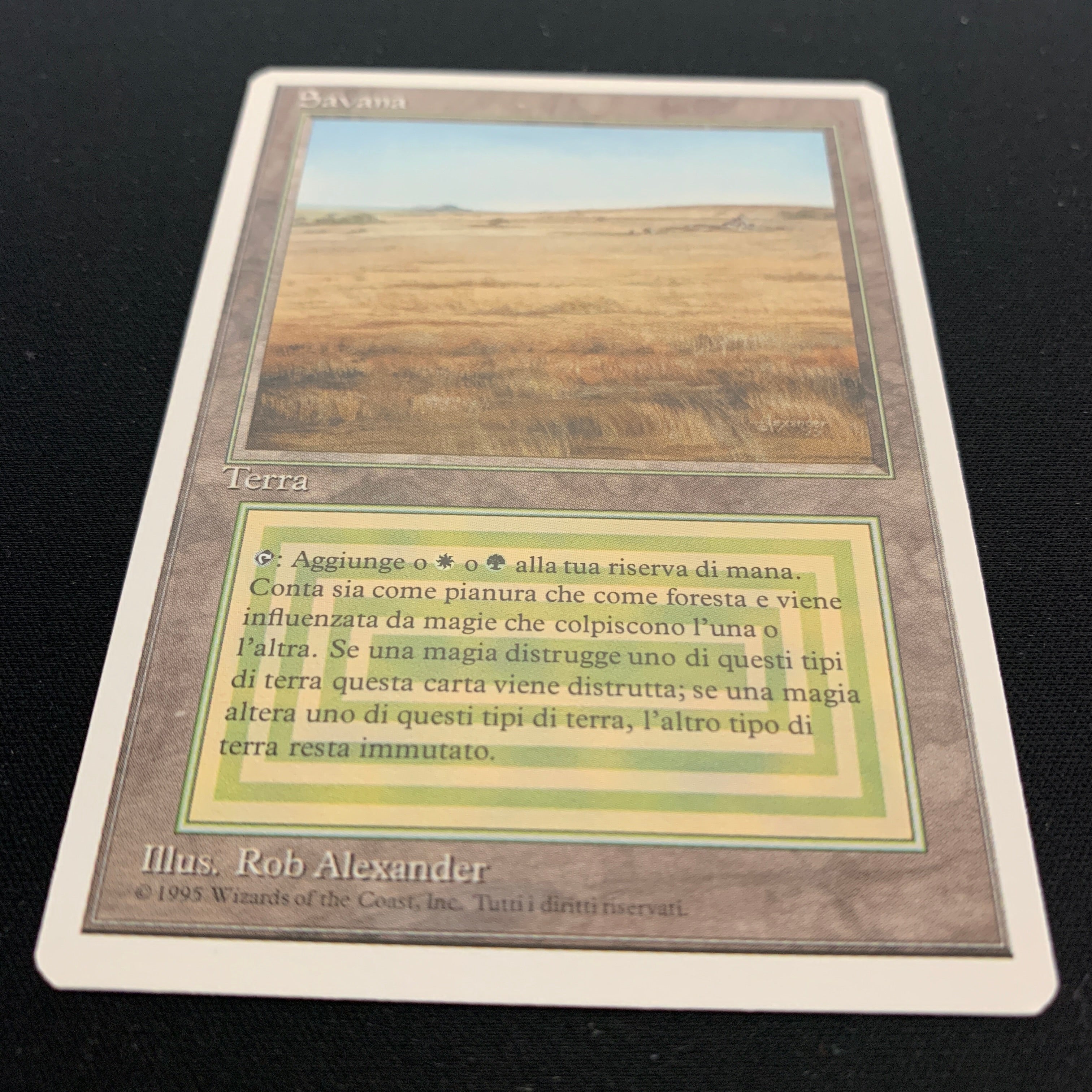 MTG Singles - Savannah - Foreign White Bordered -