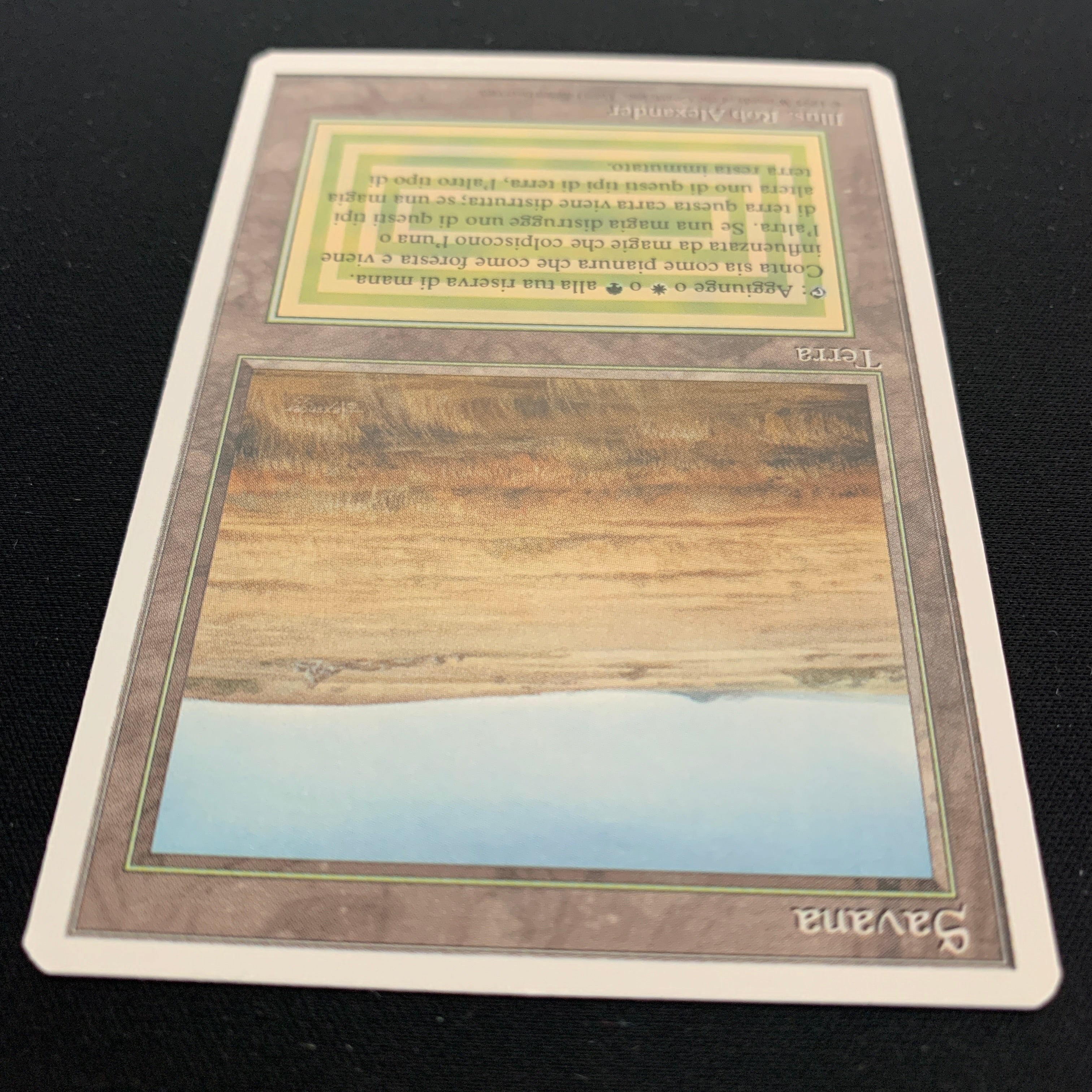 MTG Singles - Savannah - Foreign White Bordered -