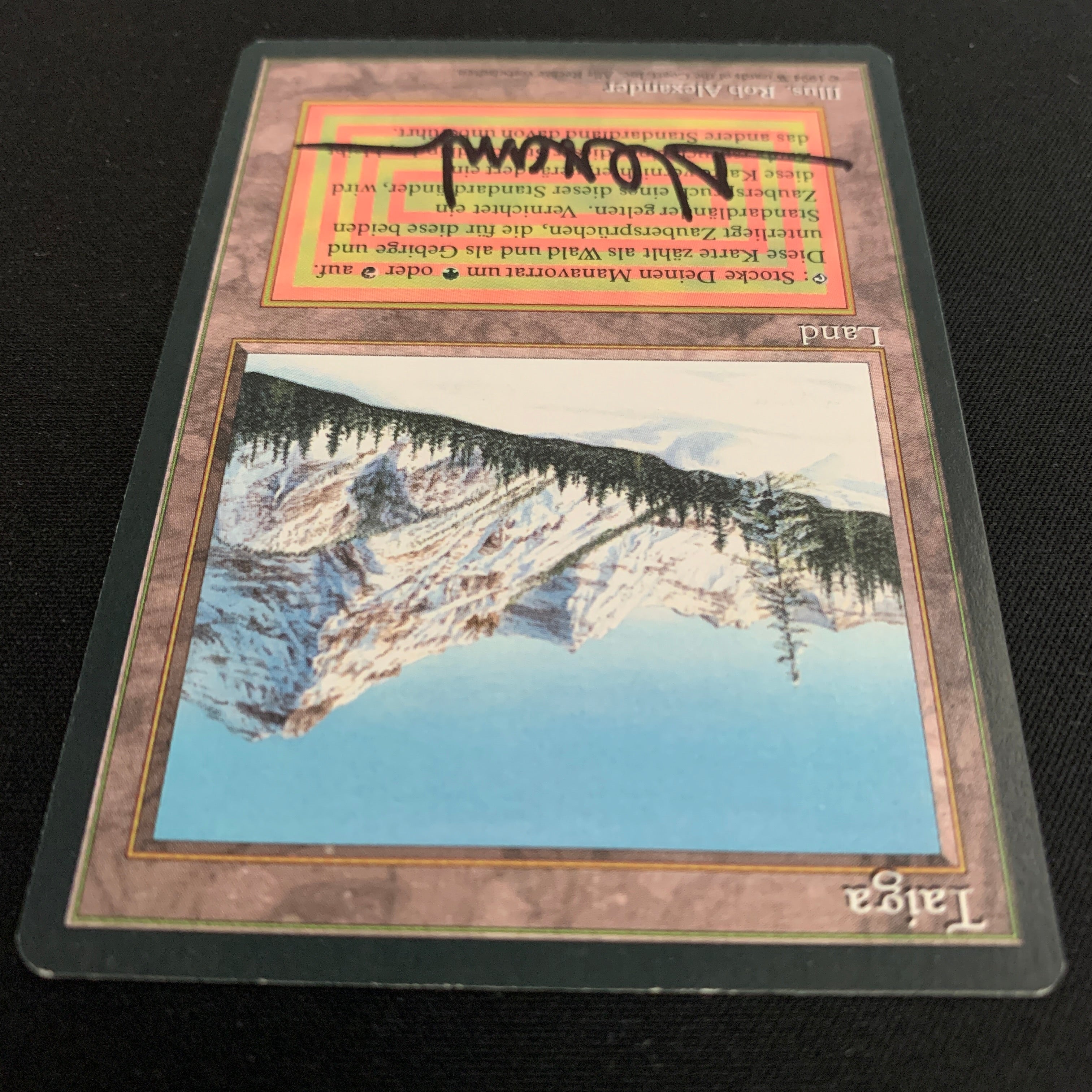 MTG Singles - Taiga - Foreign Black Bordered -