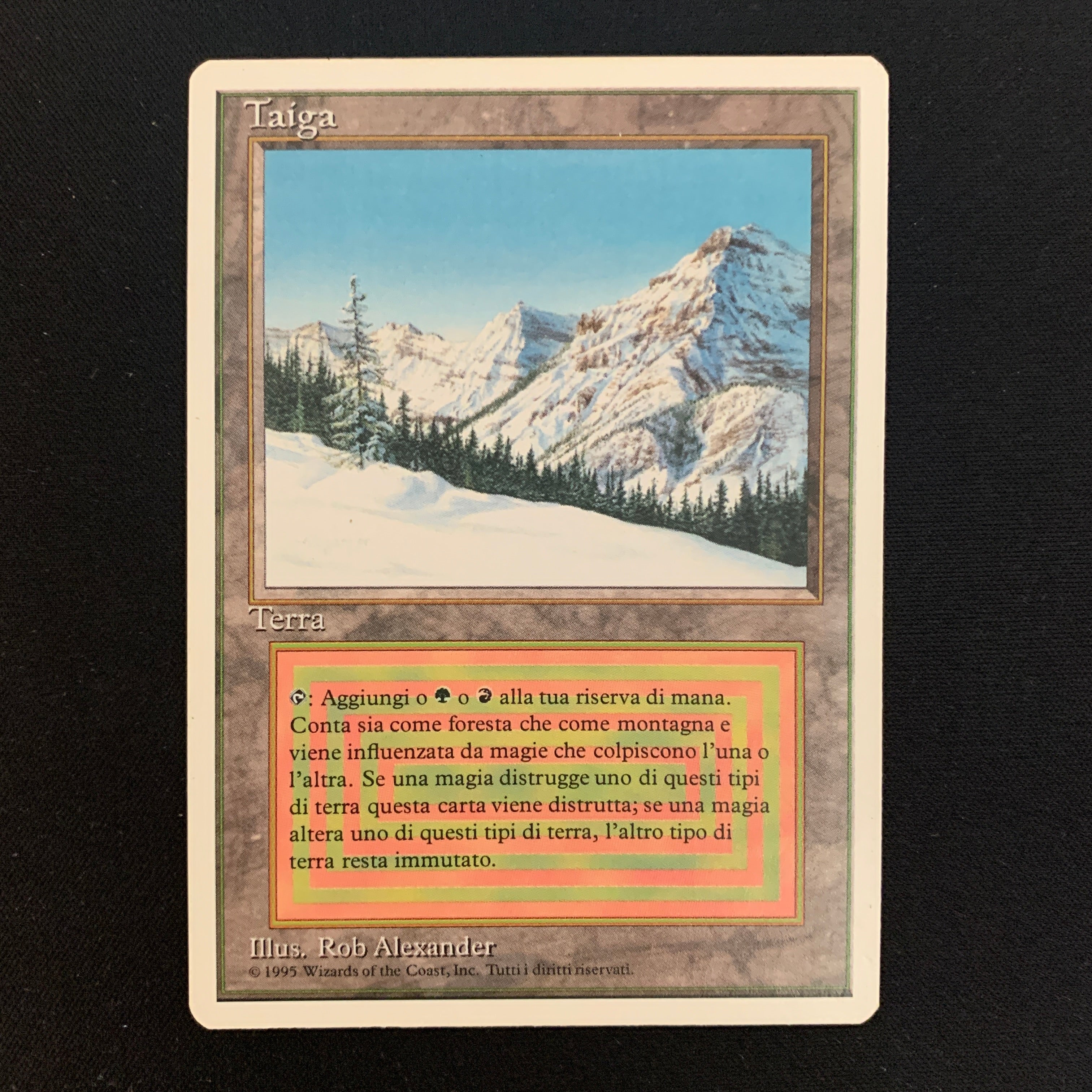 MTG Singles - Taiga - Foreign White Bordered - Italian - EX - 24529