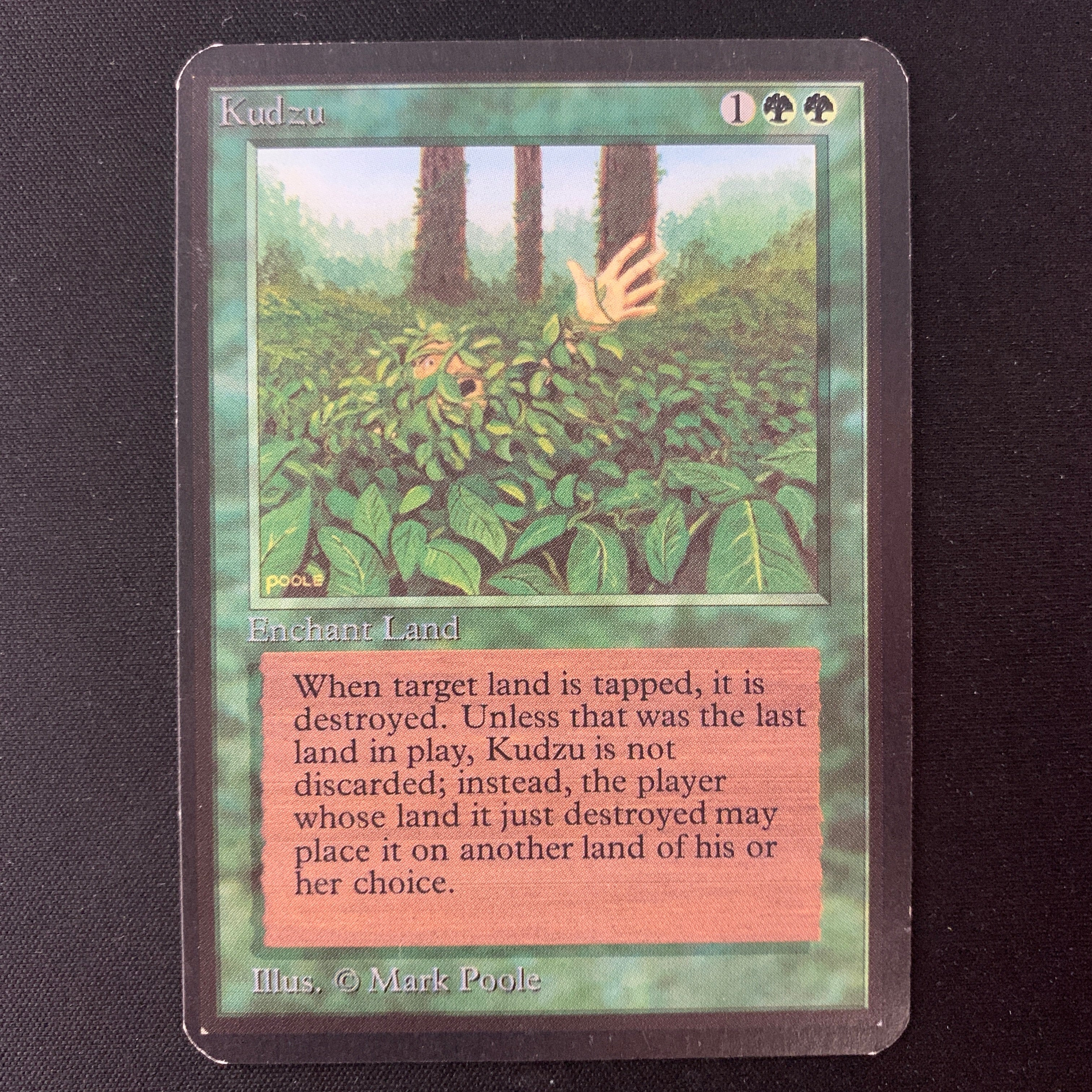 MTG Singles - Kudzu - Alpha - EX - 24927