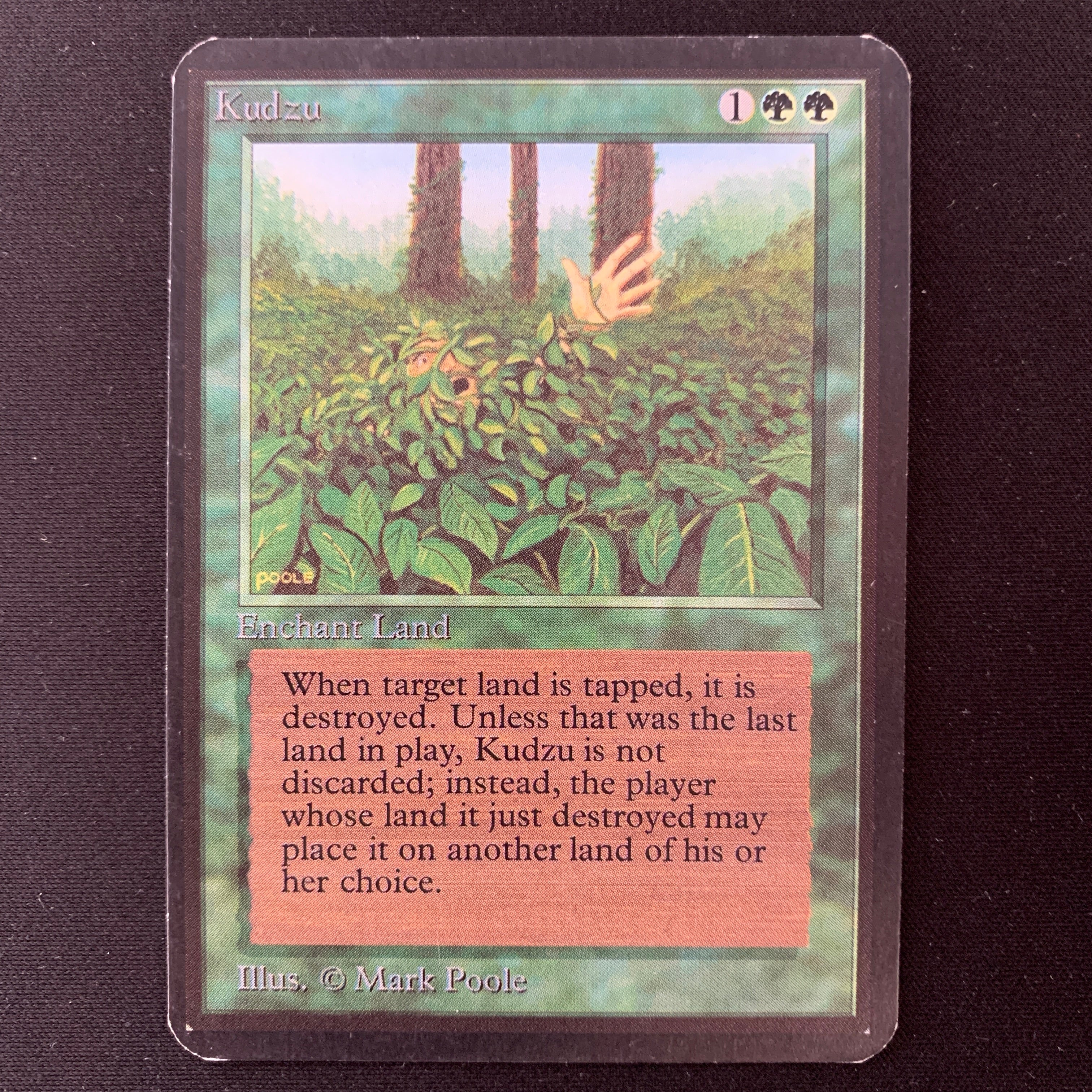 MTG Singles - Kudzu - Alpha - GD - 25067