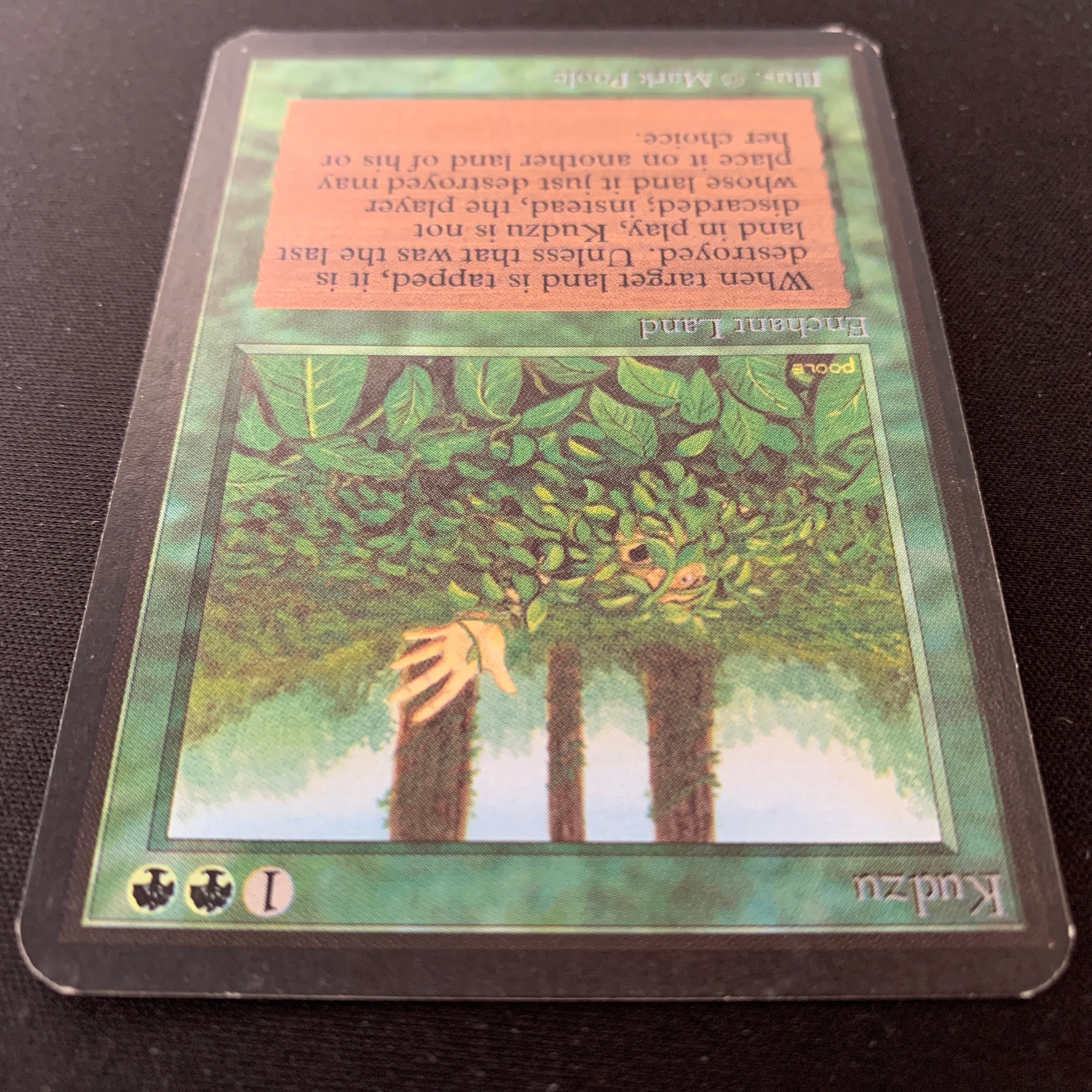 MTG Singles - Kudzu - Alpha -