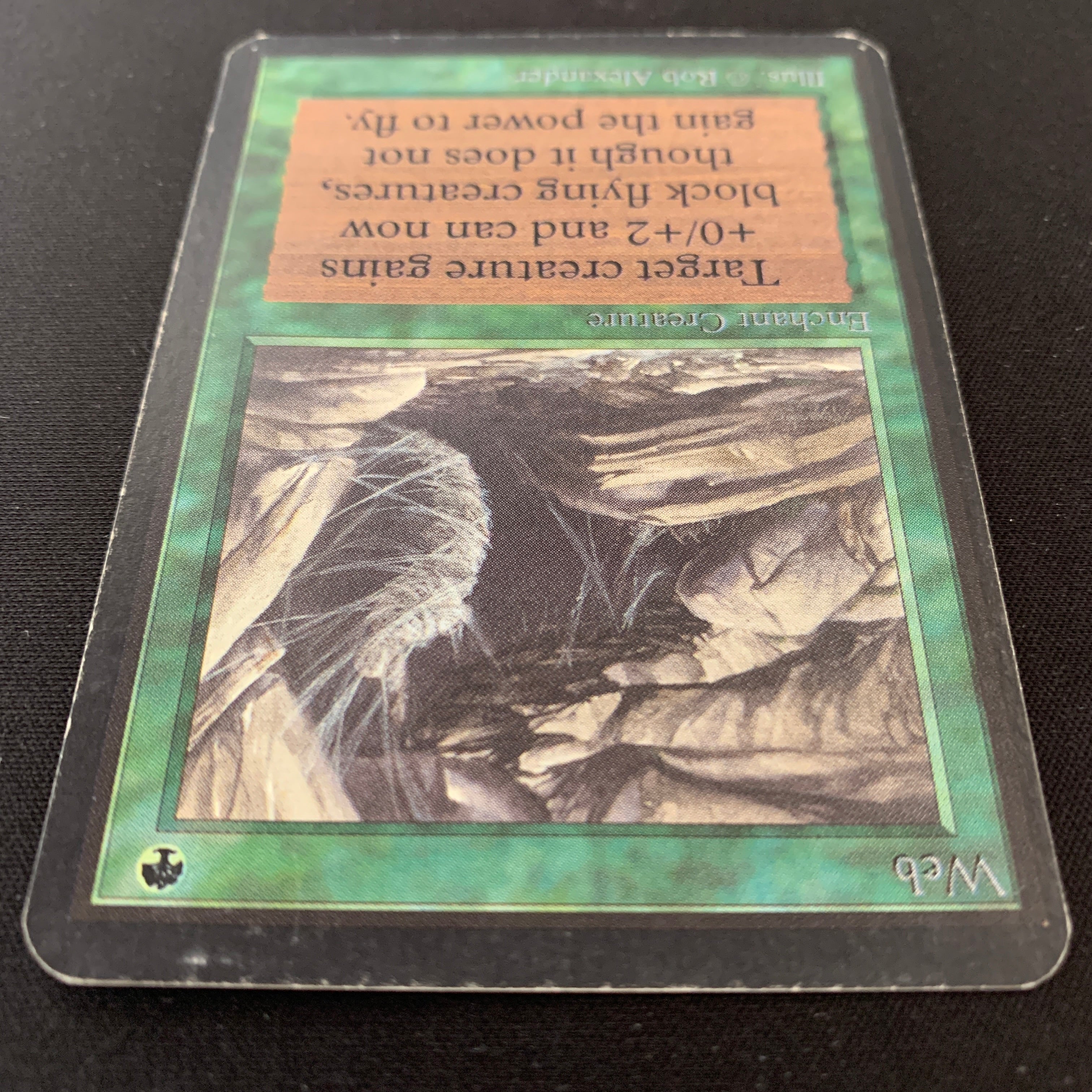 MTG Singles - Web - Alpha -