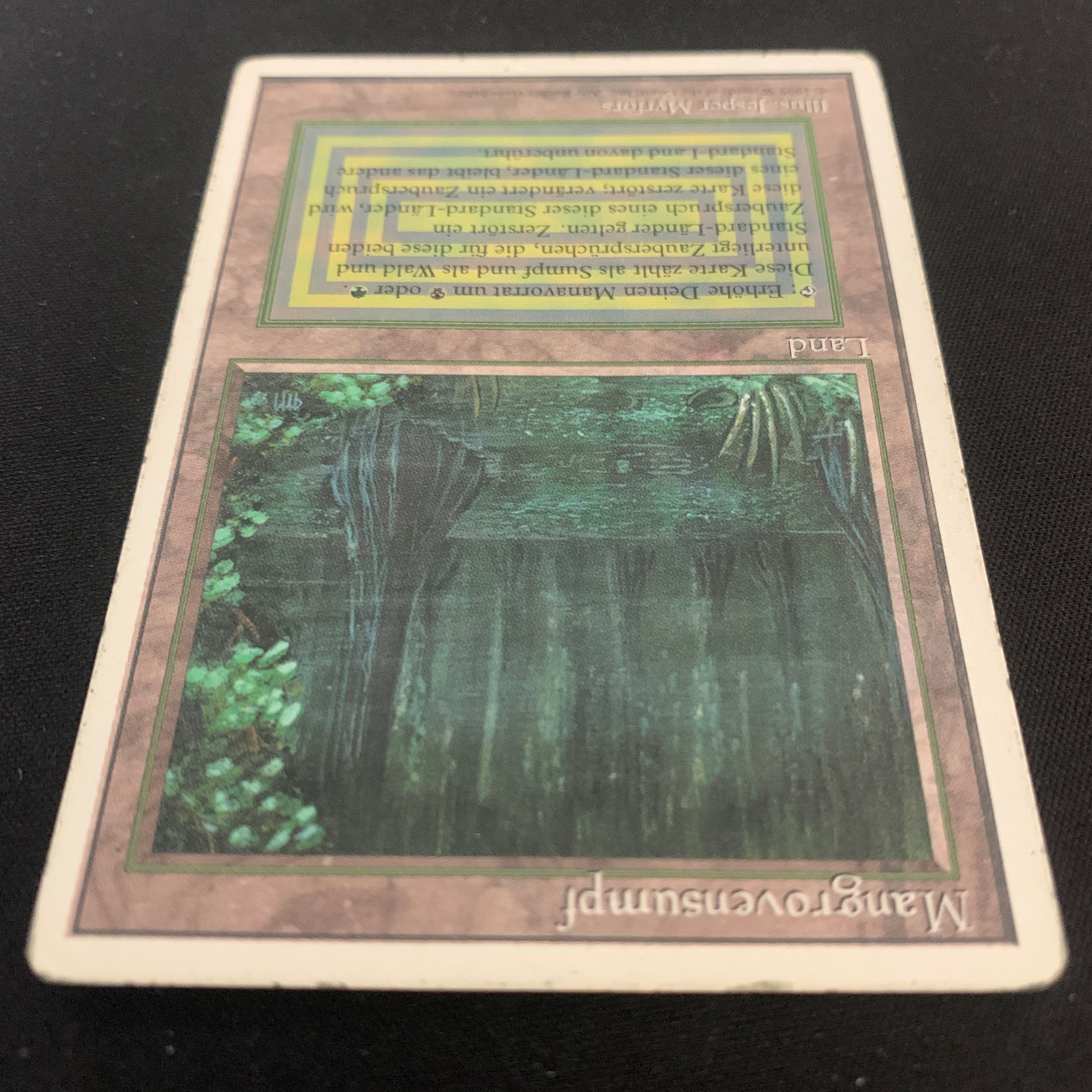 MTG Singles - Bayou - Foreign White Bordered -
