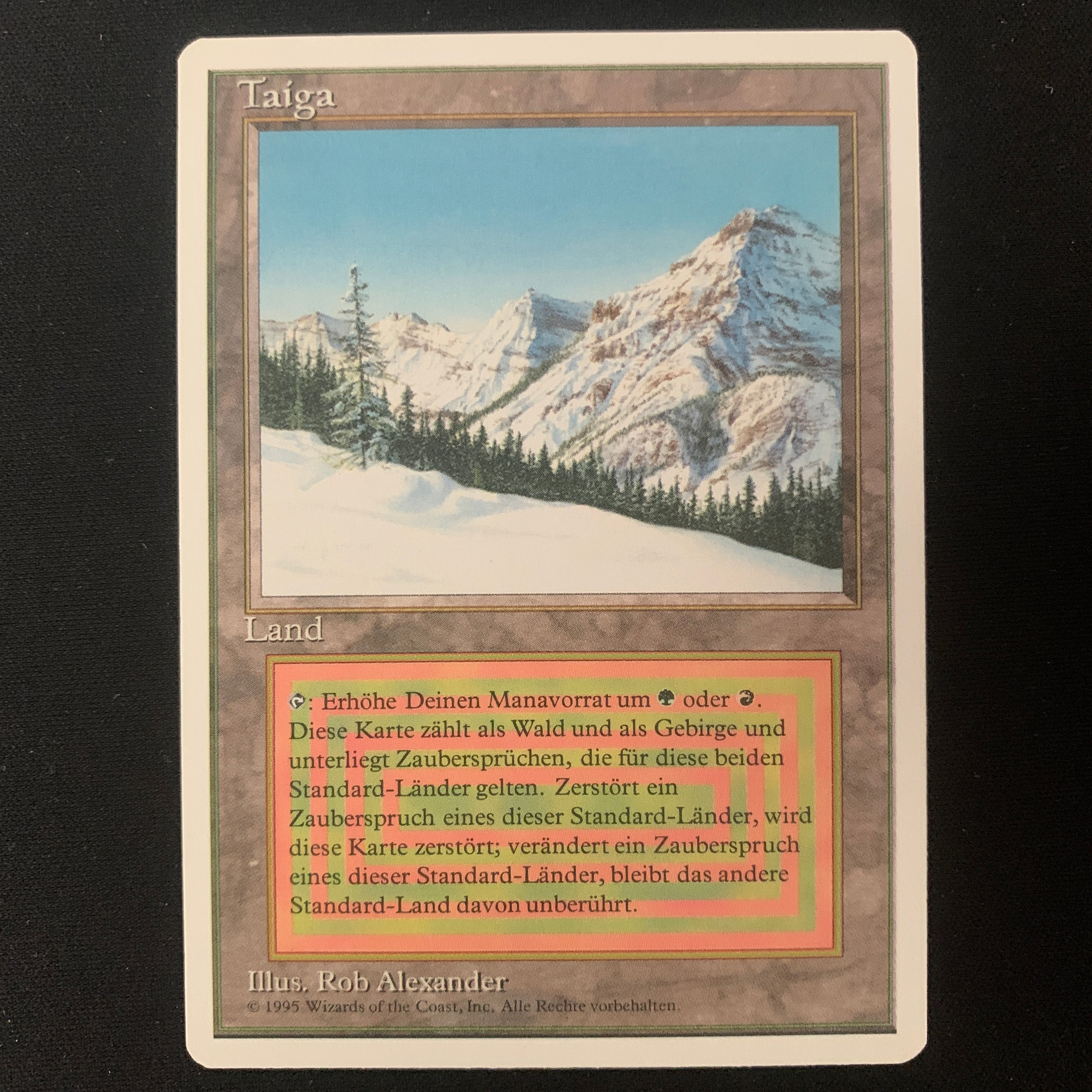 MTG Singles - Taiga - Foreign White Bordered - German - EX - 25196