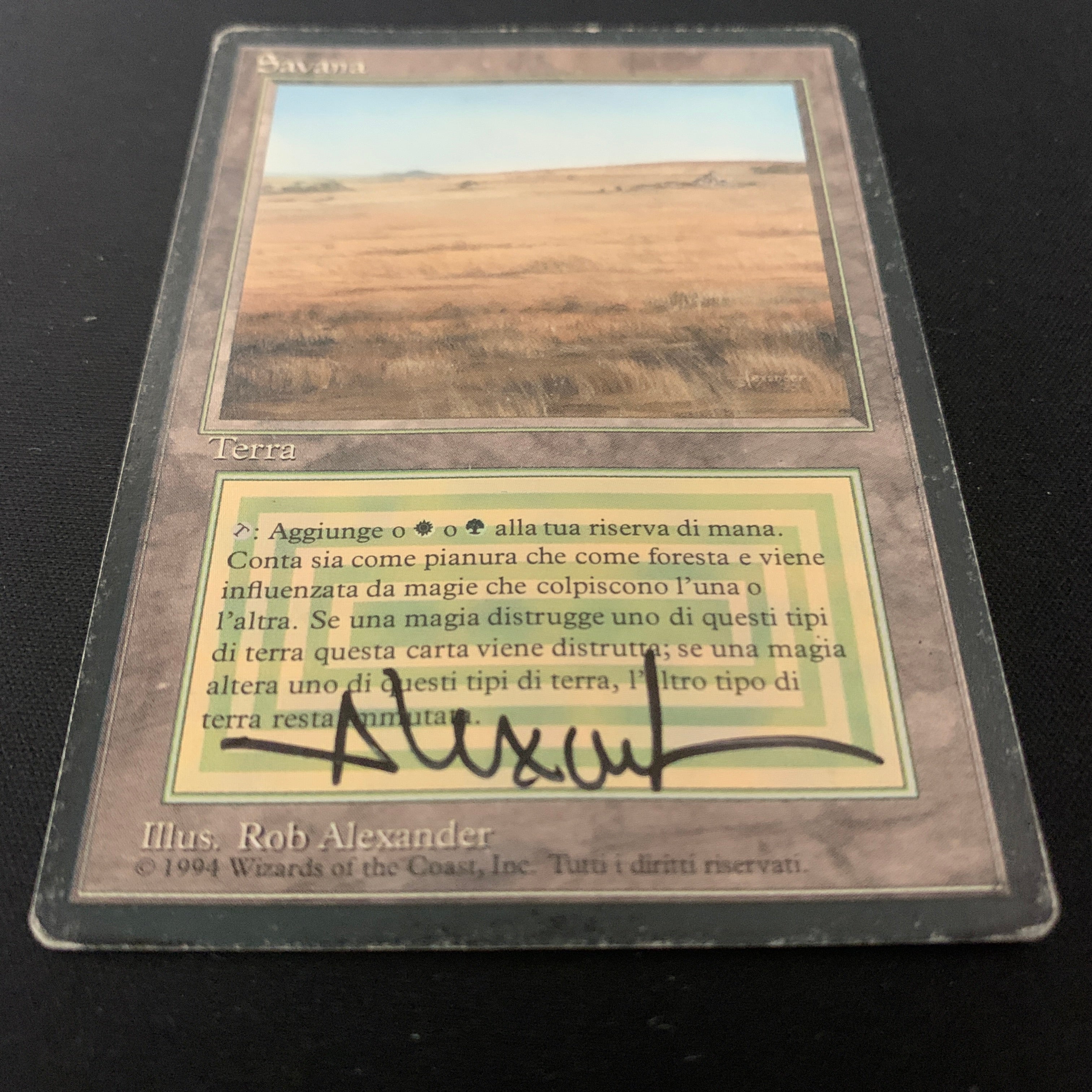 MTG Singles - Savannah - Foreign Black Bordered -
