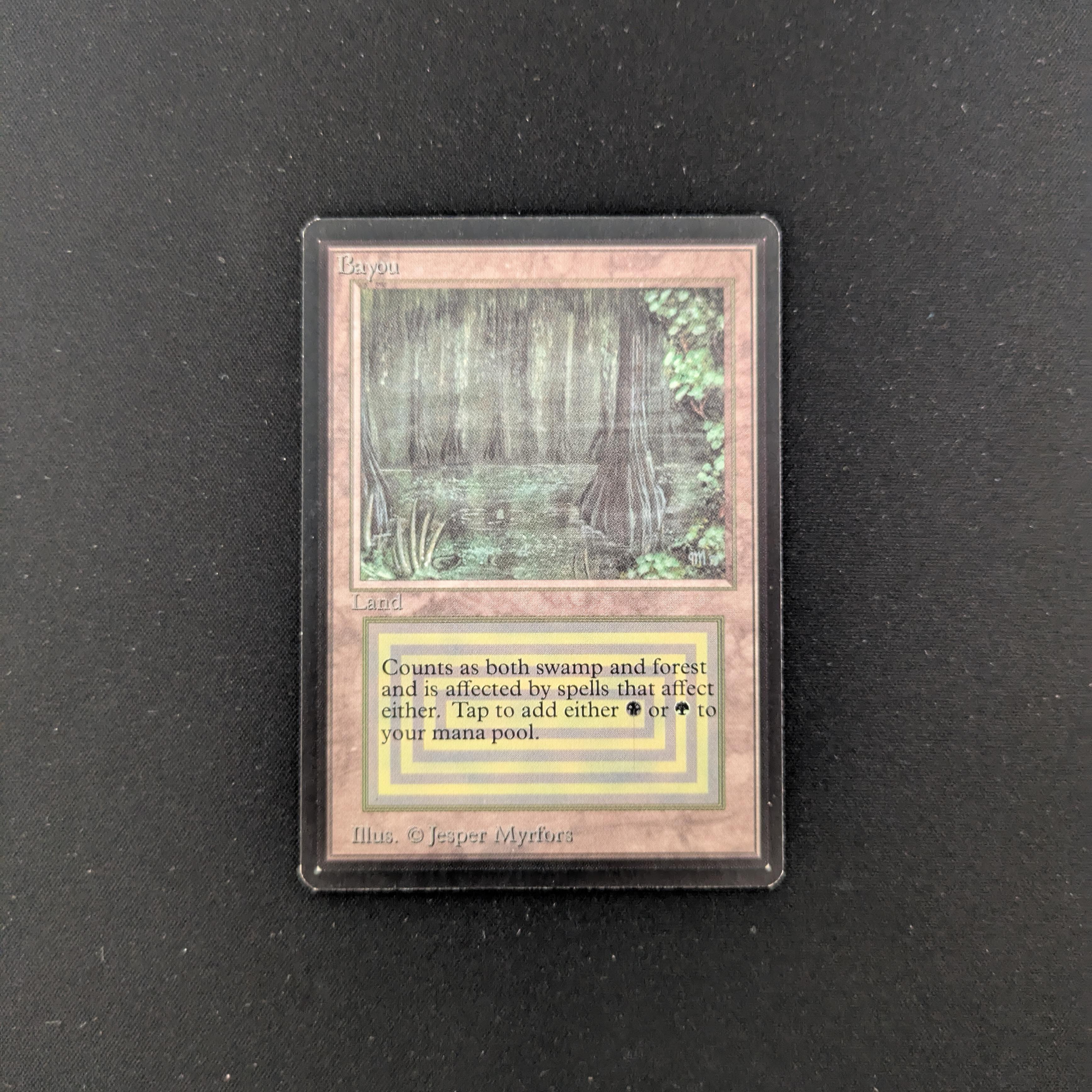 MTG Singles - Bayou - Beta - EX - 25427