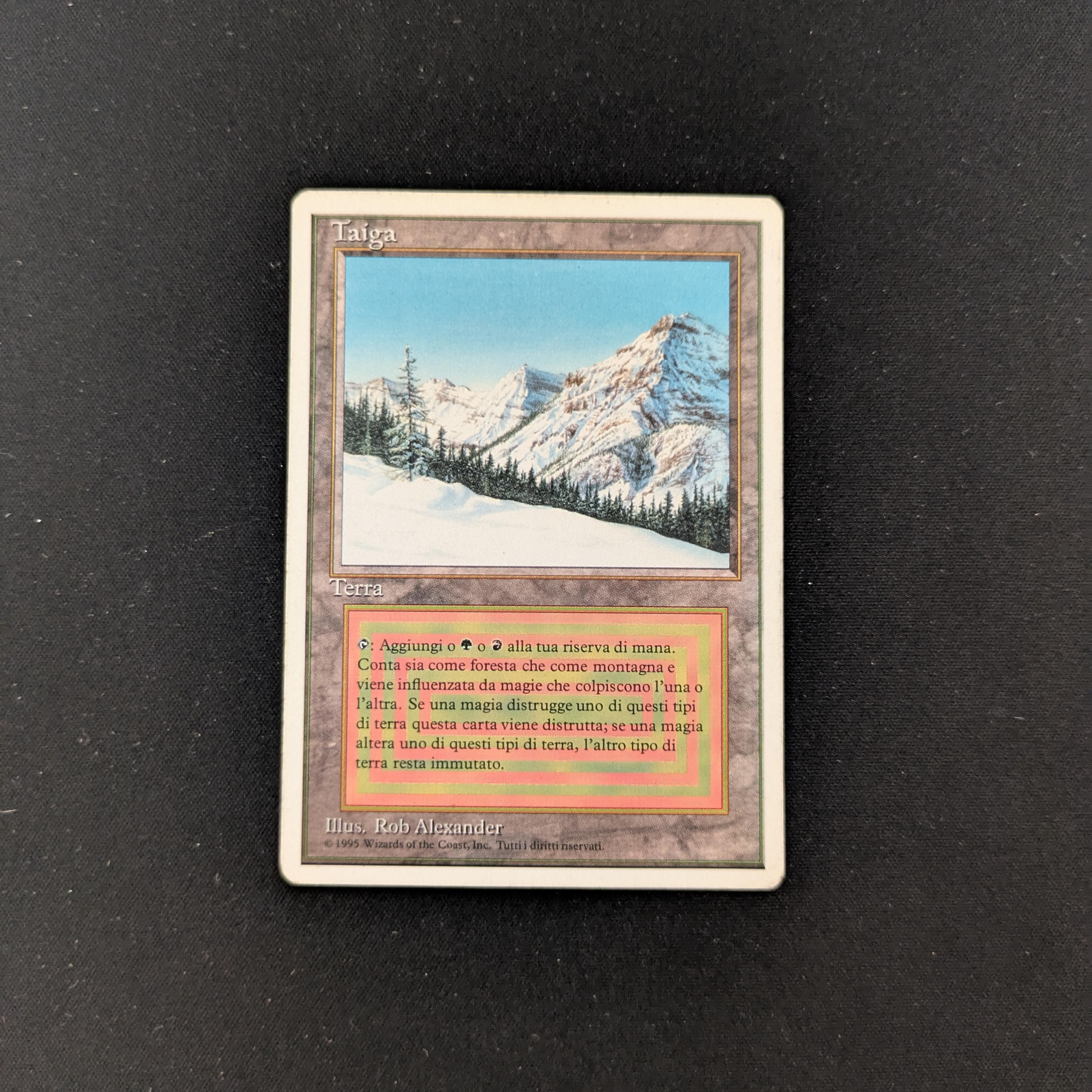 MTG Singles - Taiga - Foreign White Bordered - Italian - PL - 25488