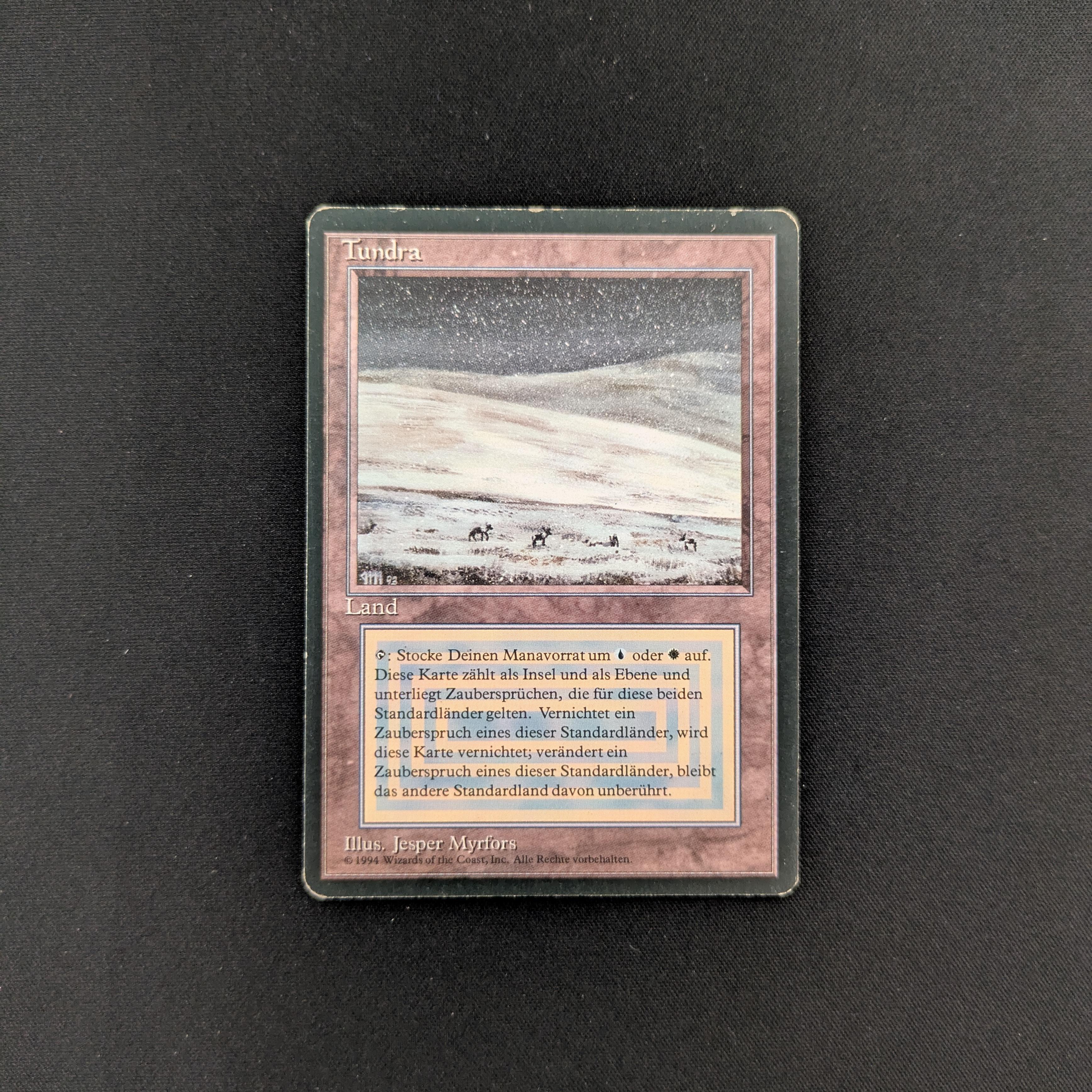 MTG Singles - Tundra - Foreign Black Bordered - German - LP - 25556