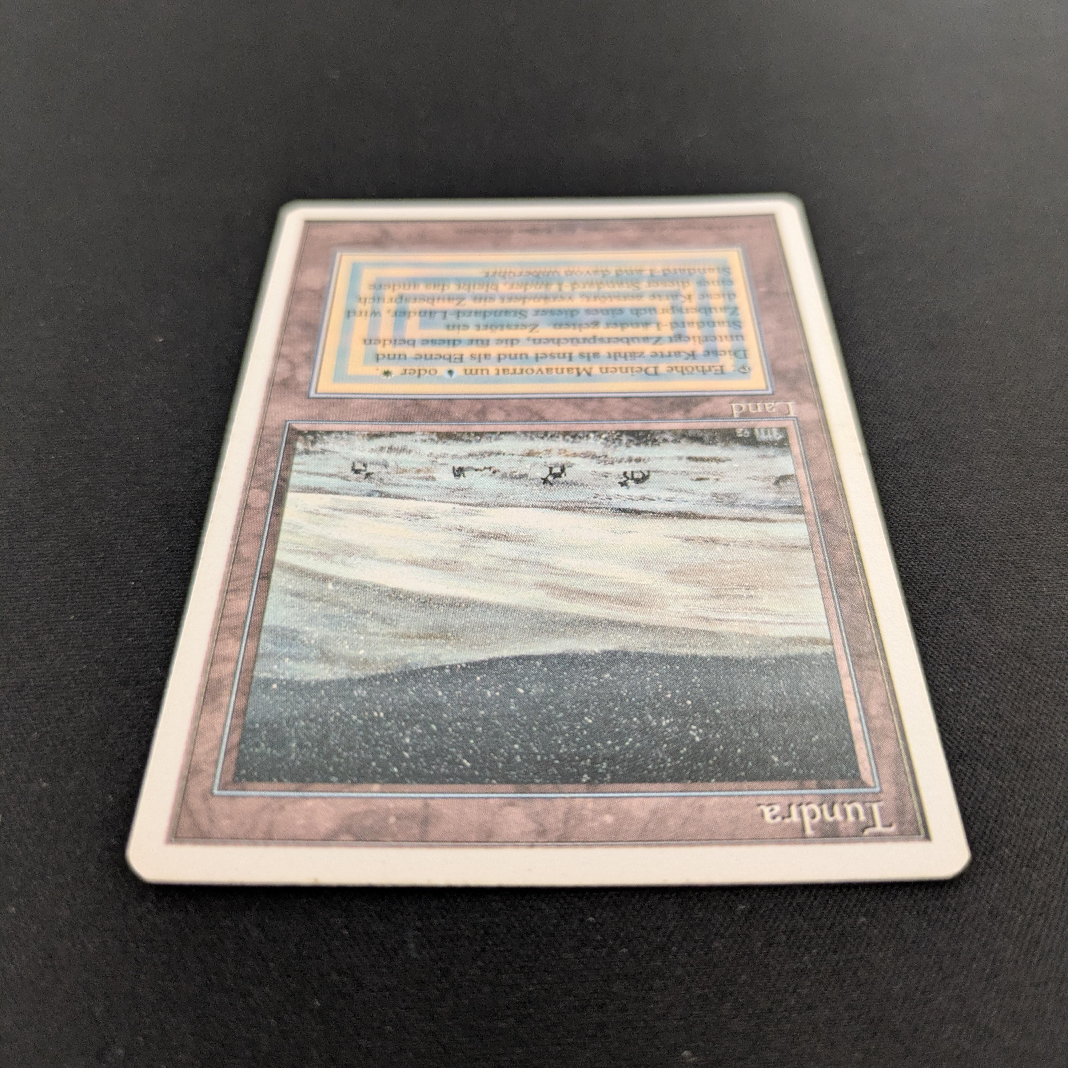MTG Singles - Tundra - Foreign White Bordered -