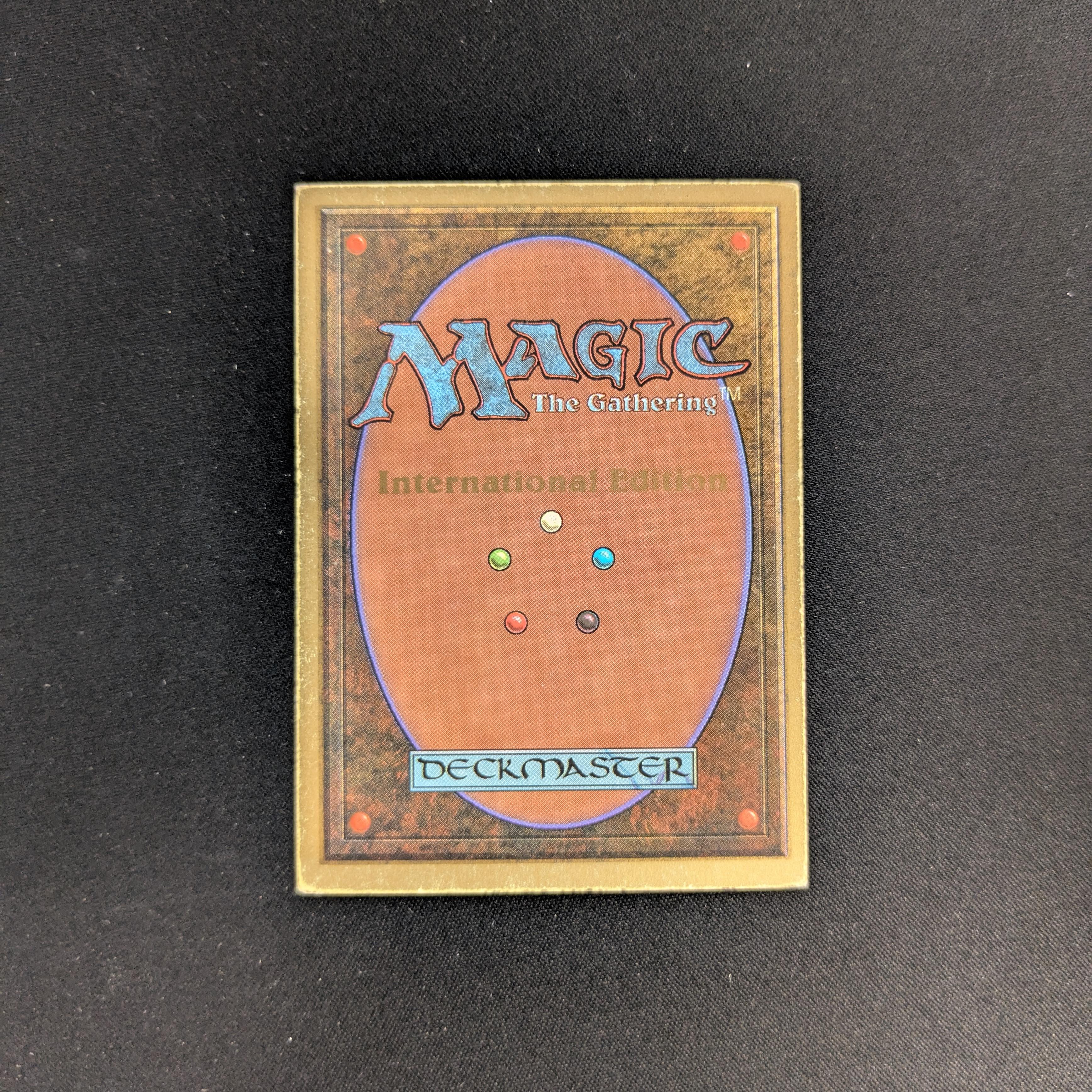 MTG Singles - Savannah - International Edition -