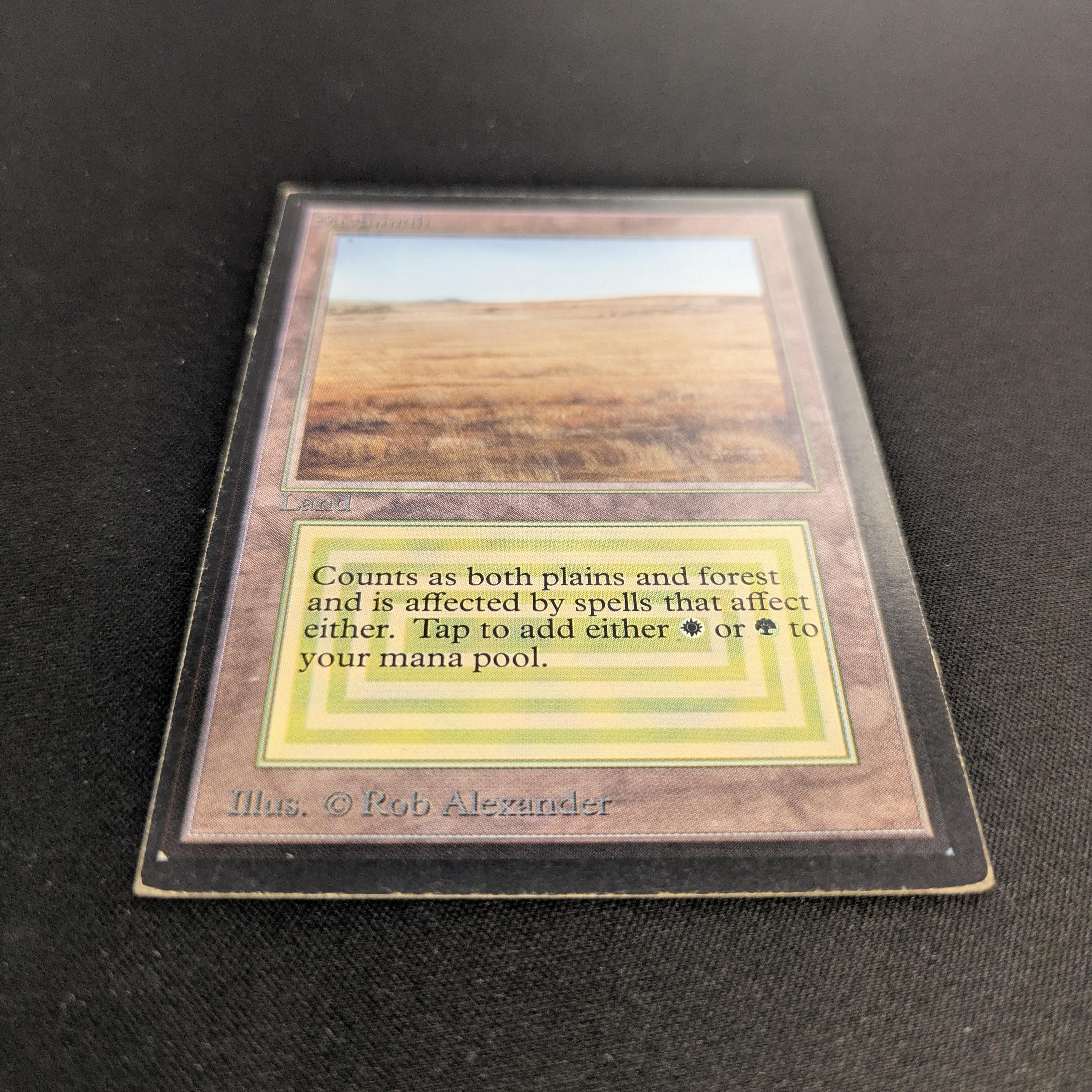 MTG Singles - Savannah - International Edition -