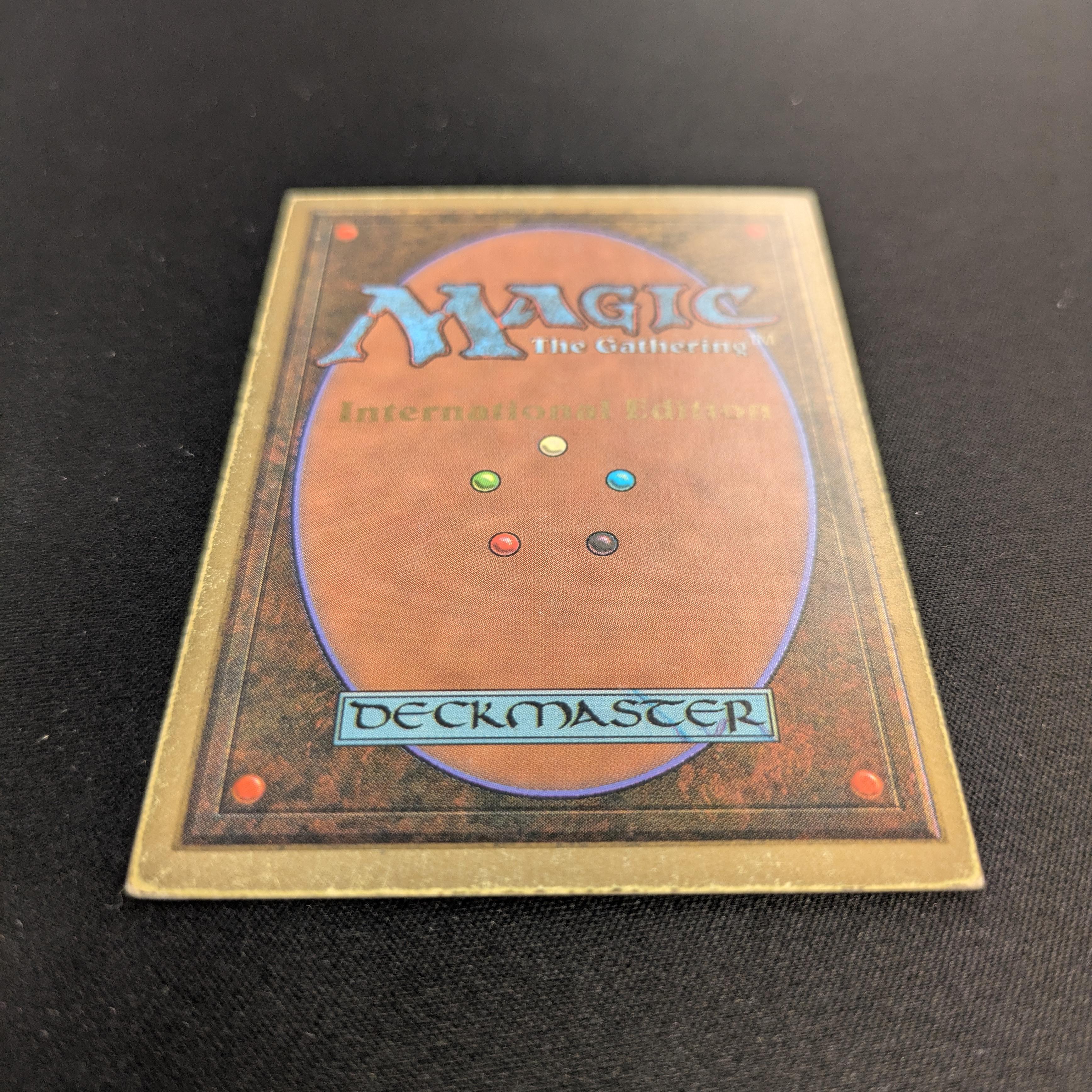 MTG Singles - Savannah - International Edition -