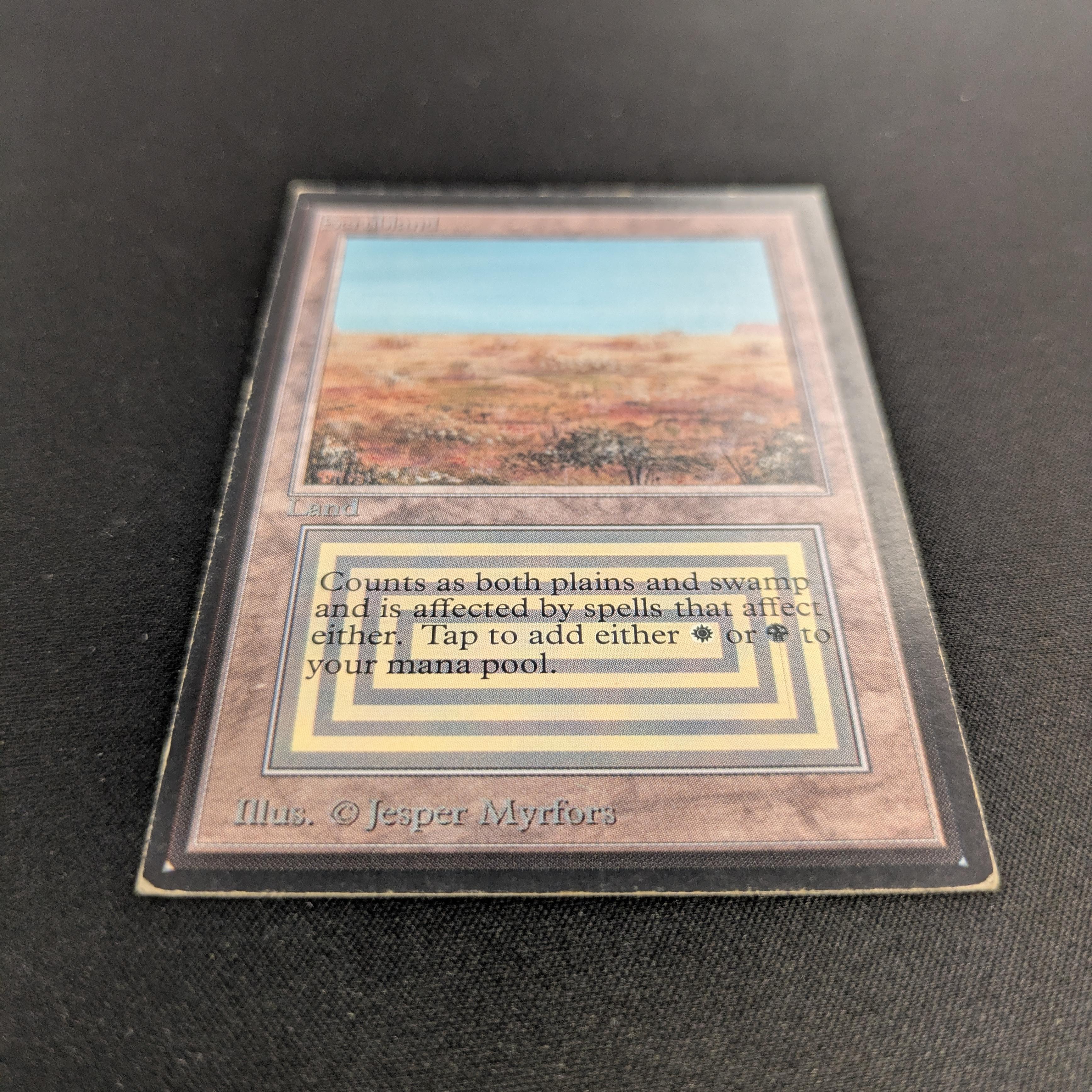 MTG Singles - Scrubland - International Edition -