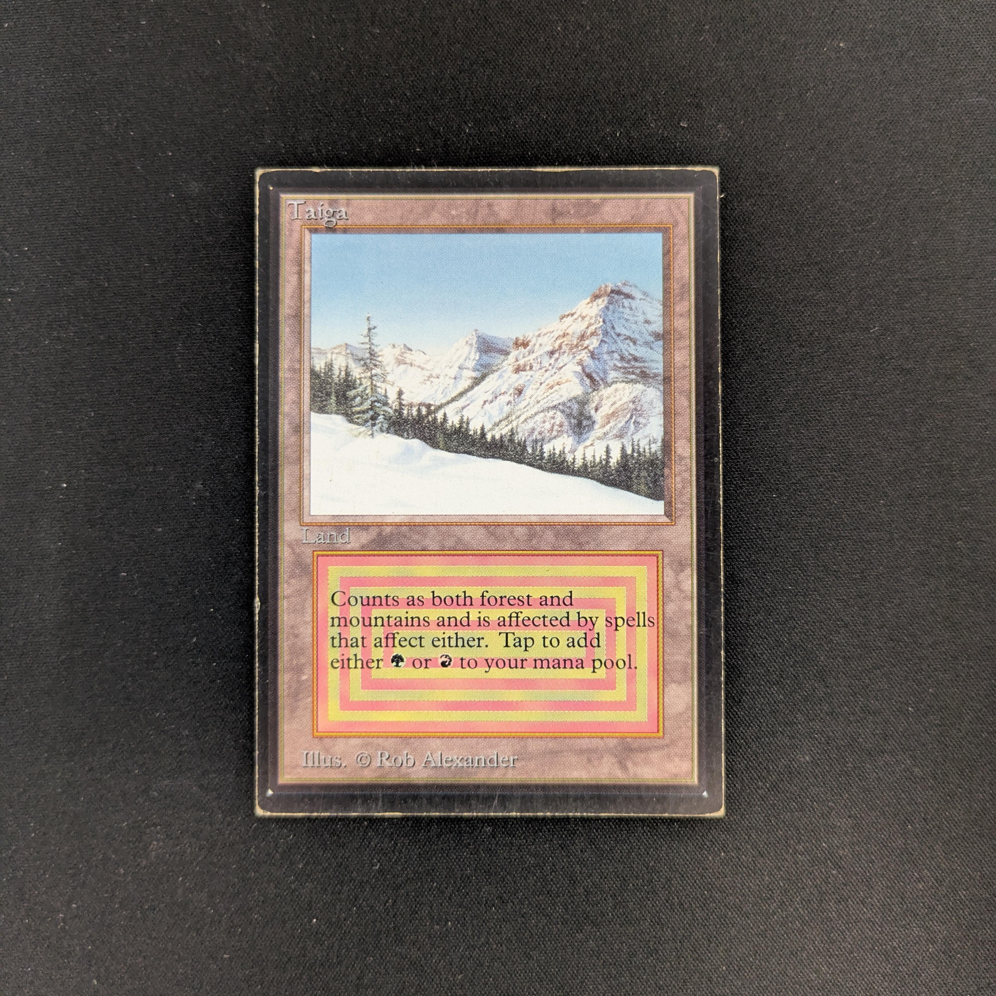 MTG Singles - Taiga - International Edition - PO - 25749