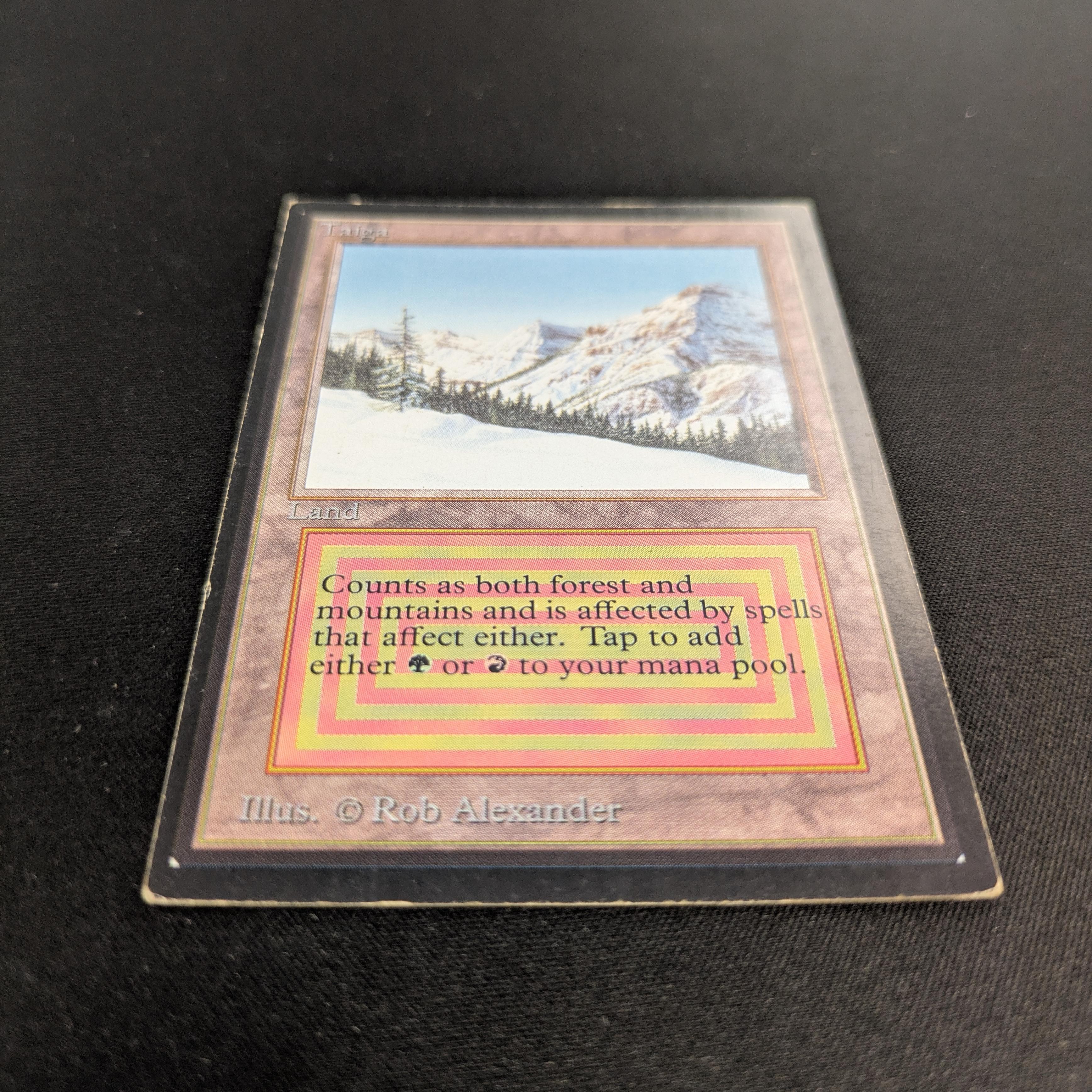 MTG Singles - Taiga - International Edition -