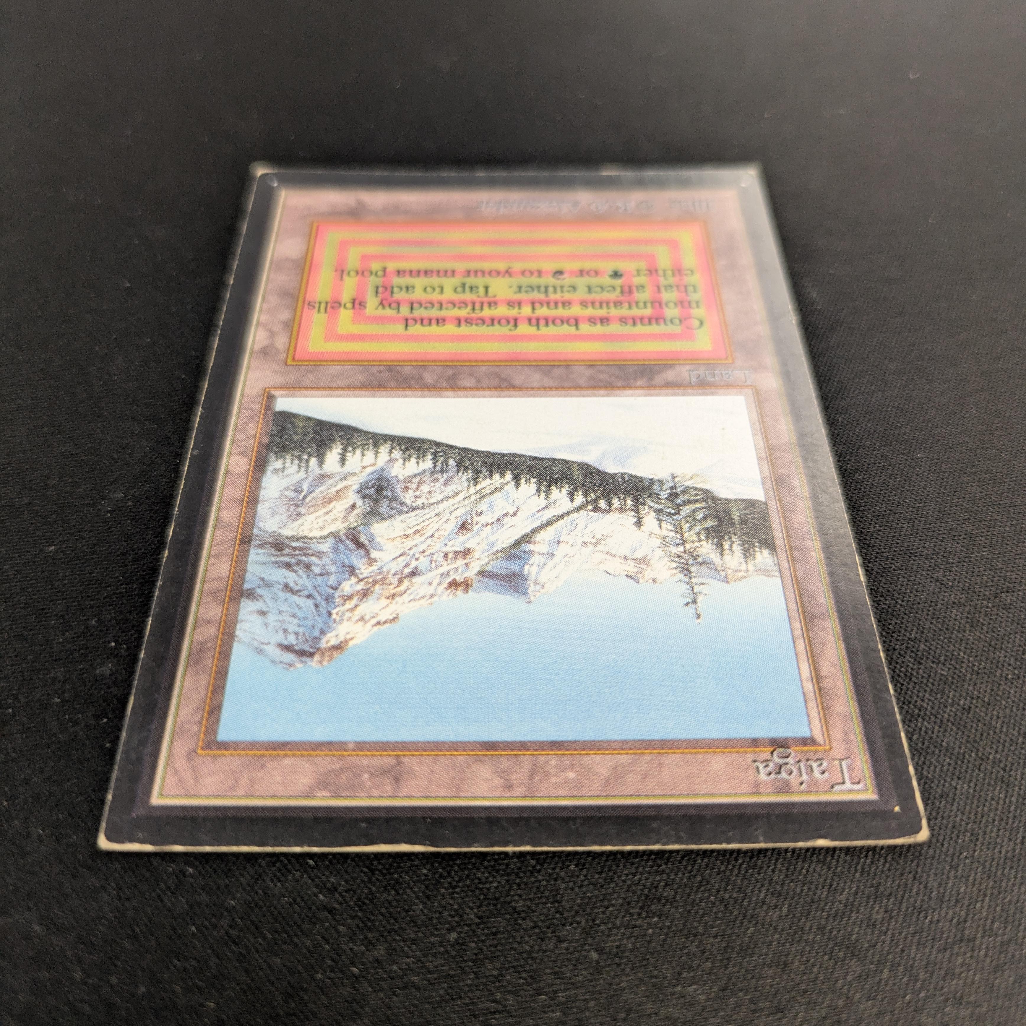 MTG Singles - Taiga - International Edition -