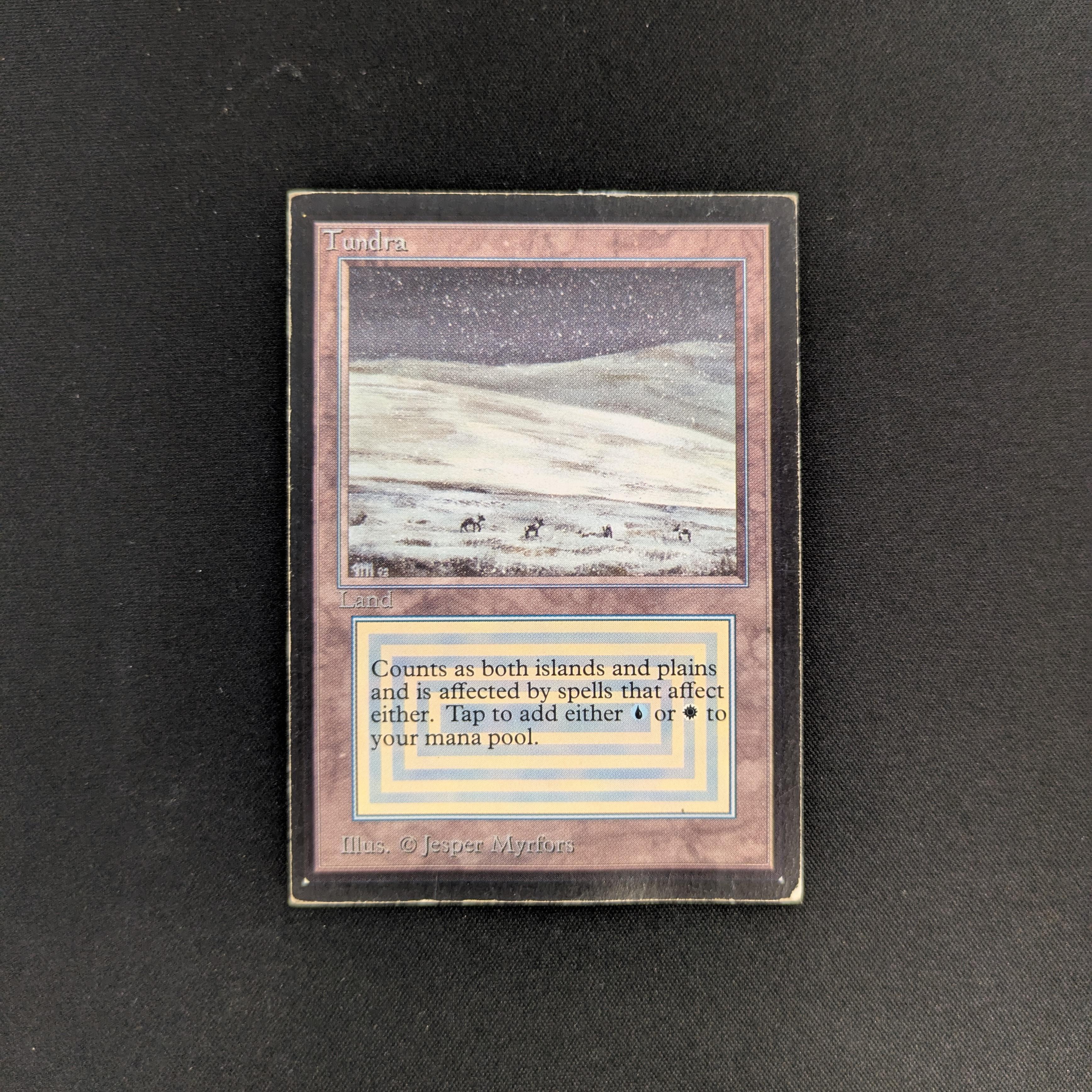 MTG Singles - Tundra - International Edition - PO - 25751