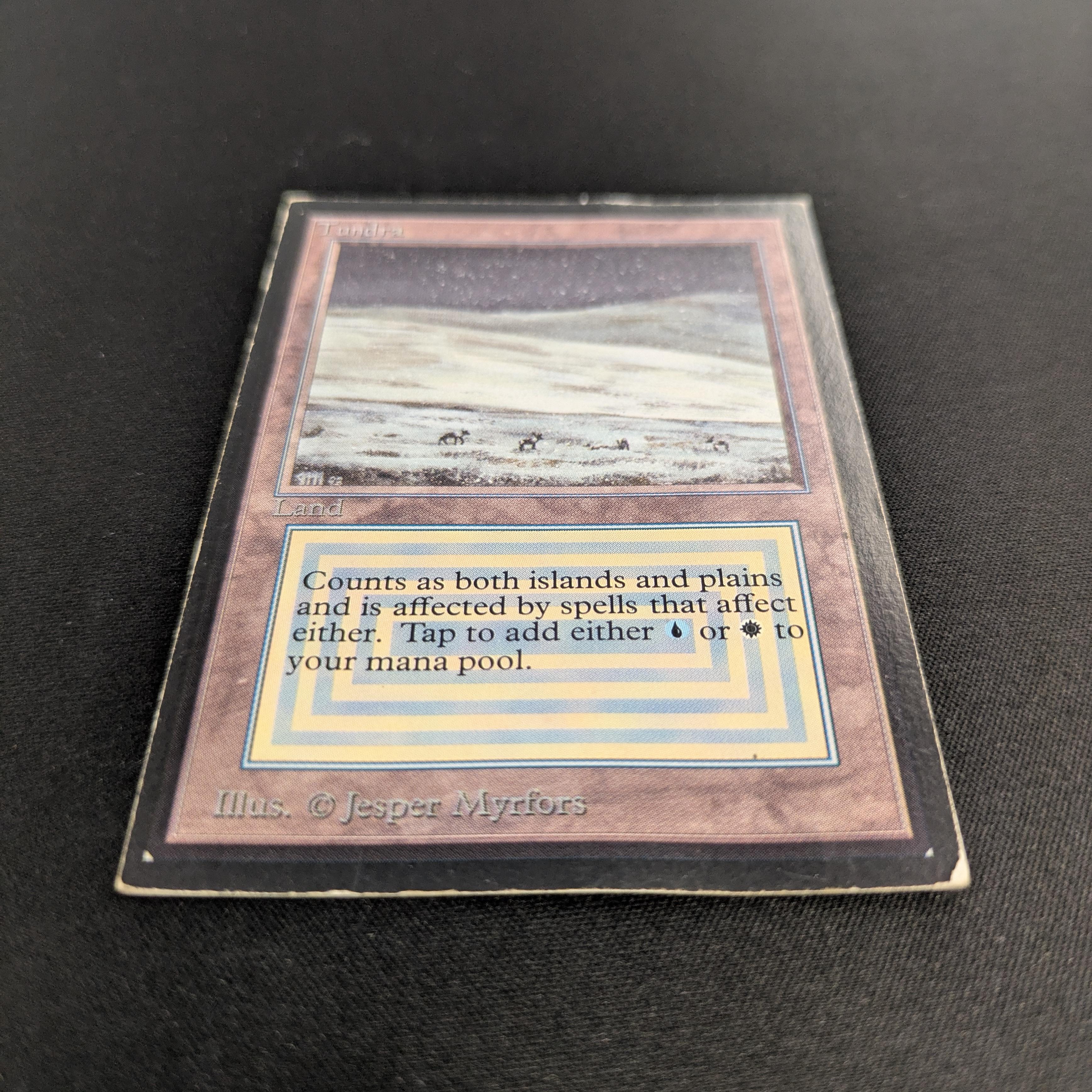 MTG Singles - Tundra - International Edition -