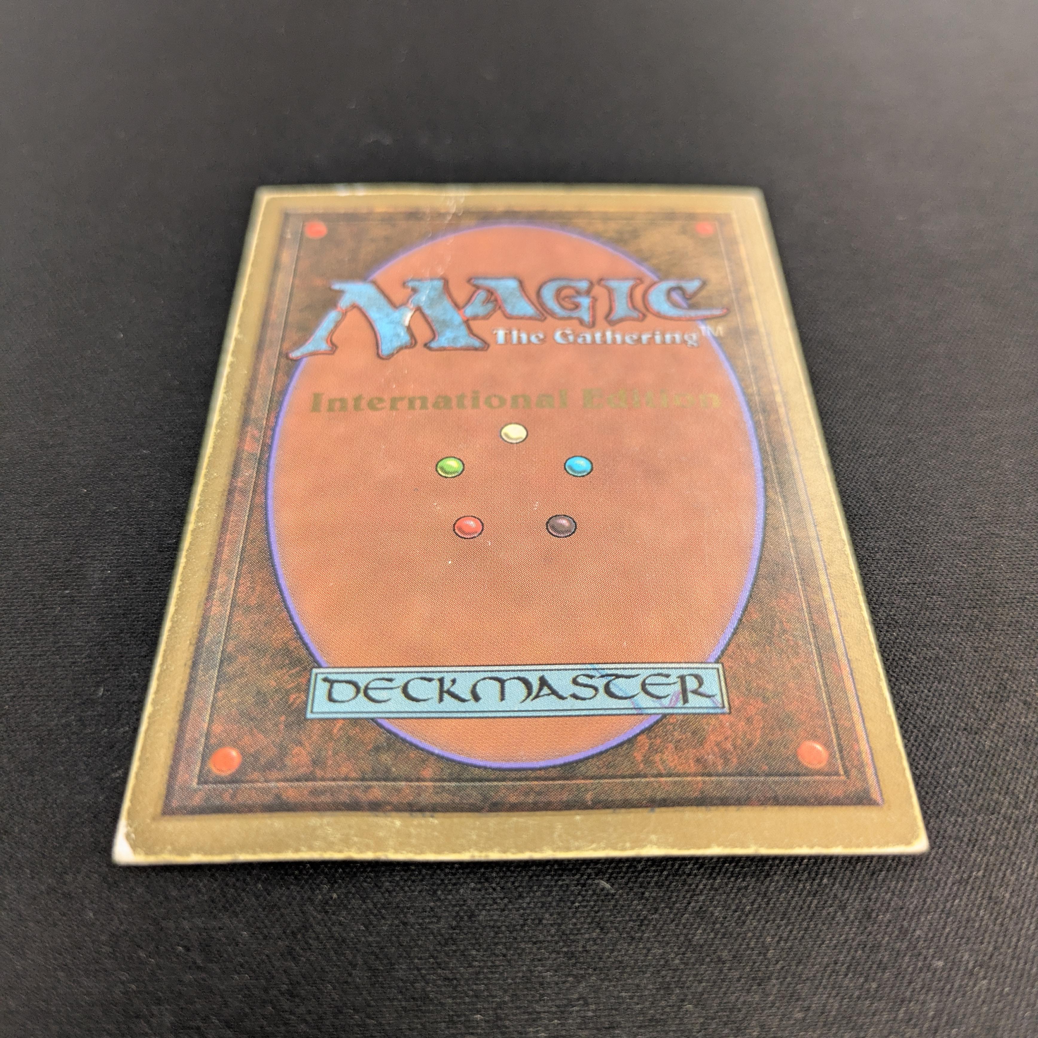 MTG Singles - Tundra - International Edition -