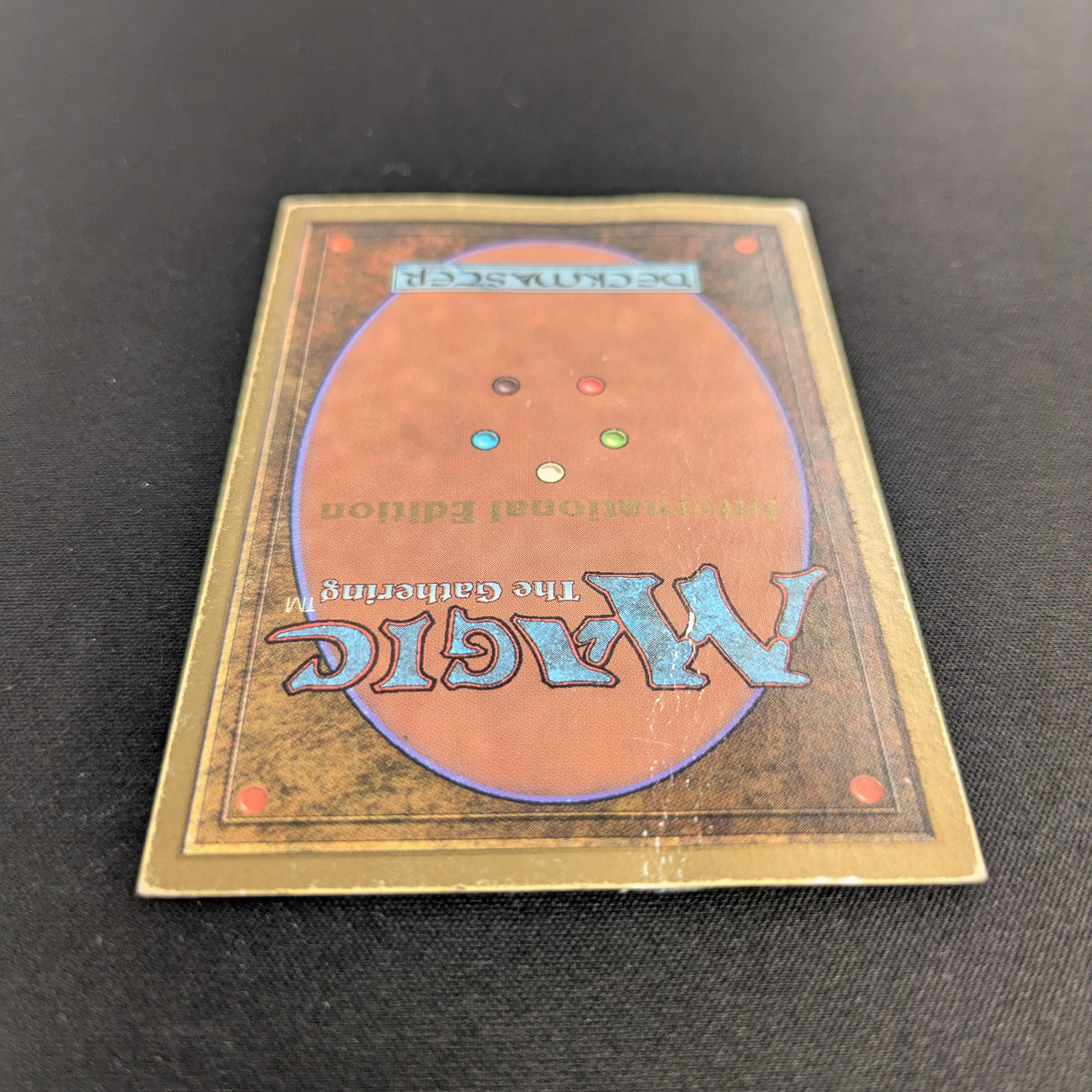 MTG Singles - Tundra - International Edition -