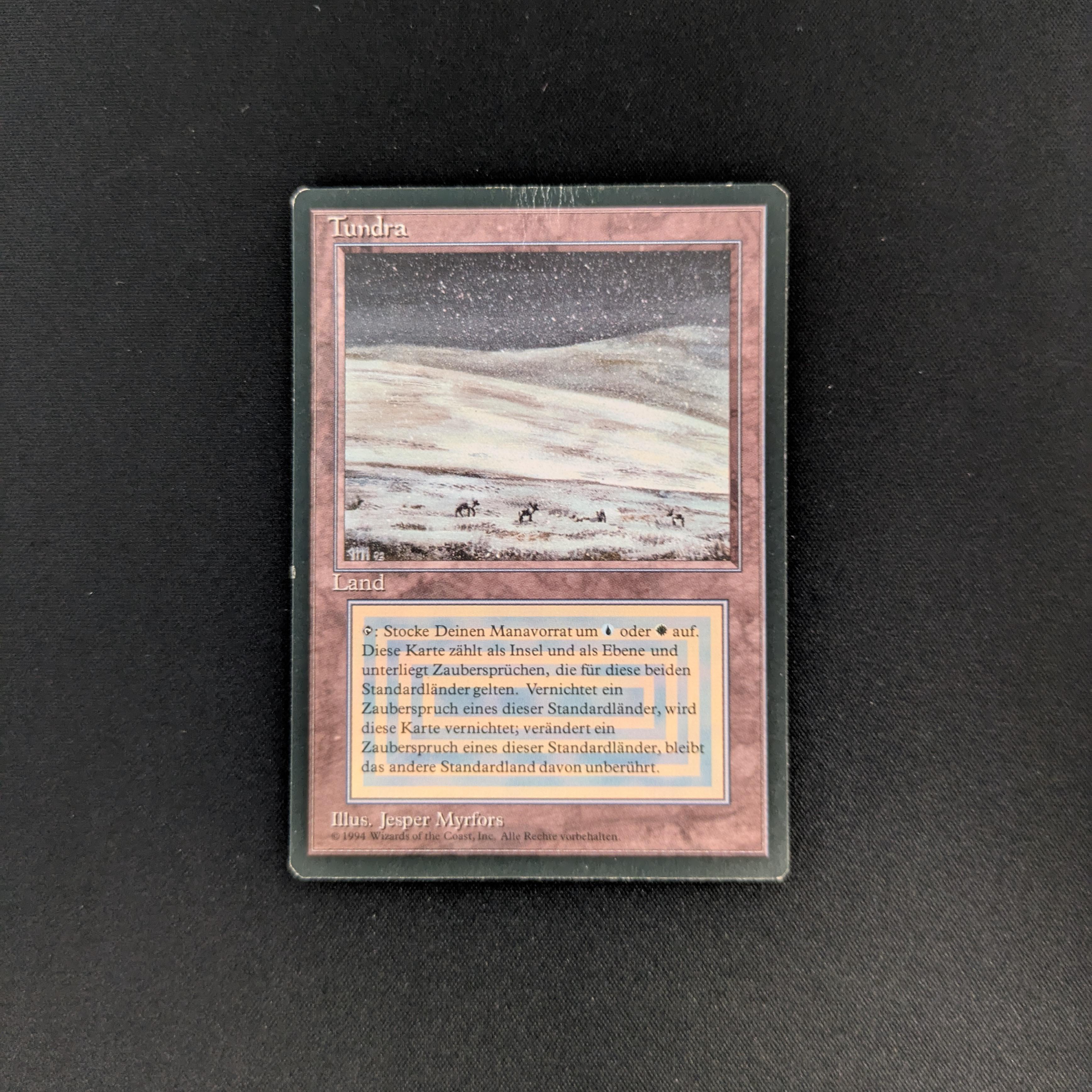 MTG Singles - Tundra - Foreign Black Bordered - German - LP - 25784