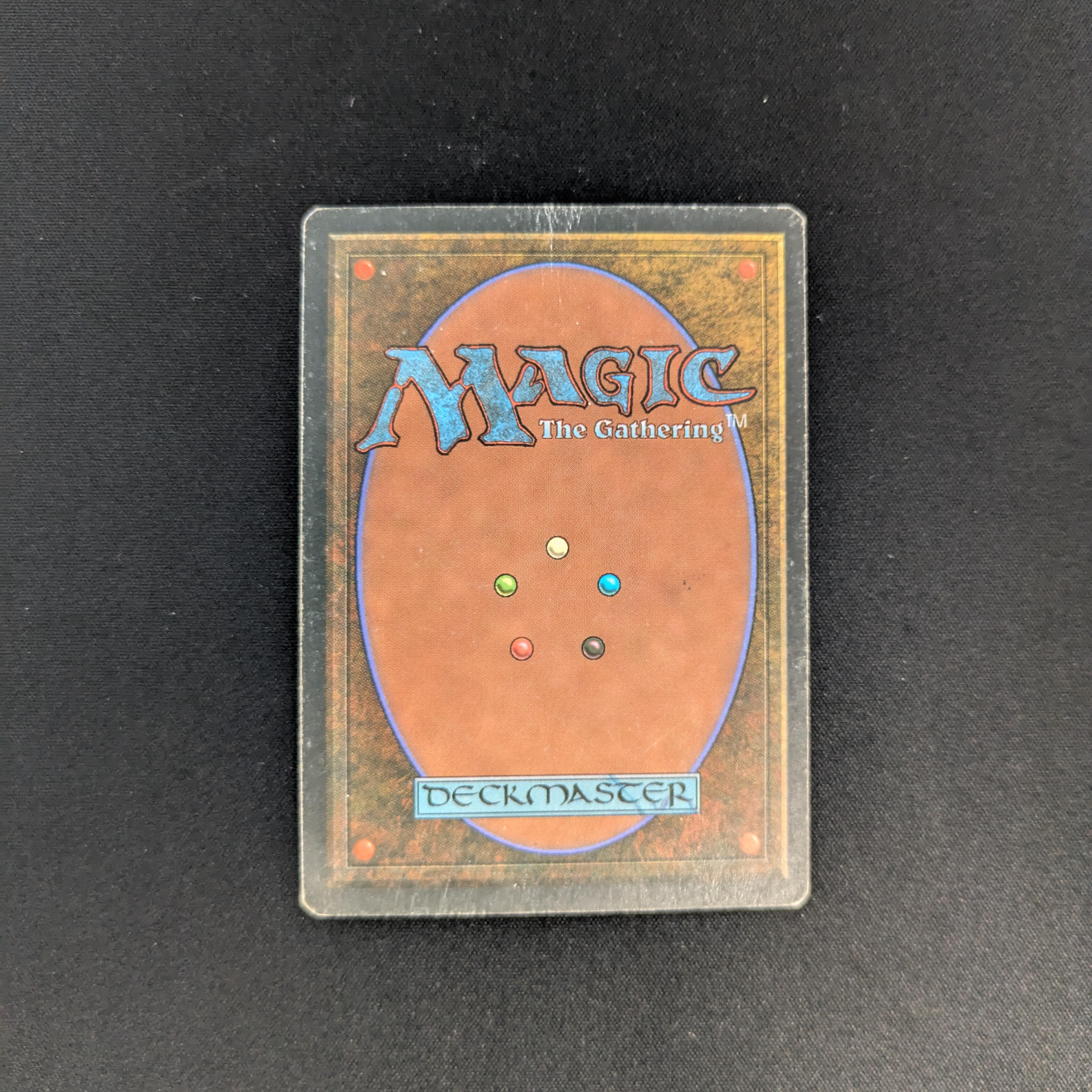 MTG Singles - Savannah - Foreign White Bordered -