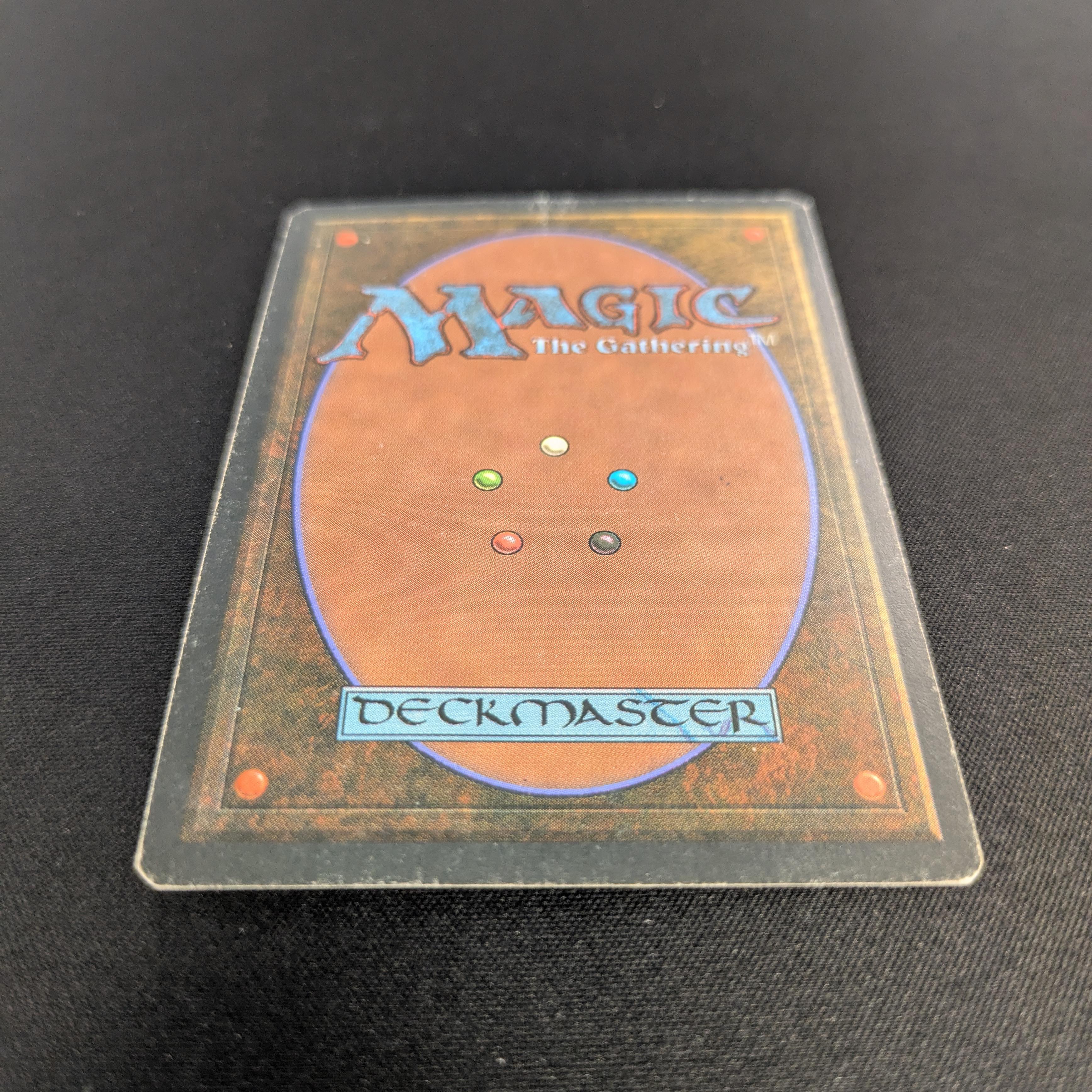 MTG Singles - Savannah - Foreign White Bordered -