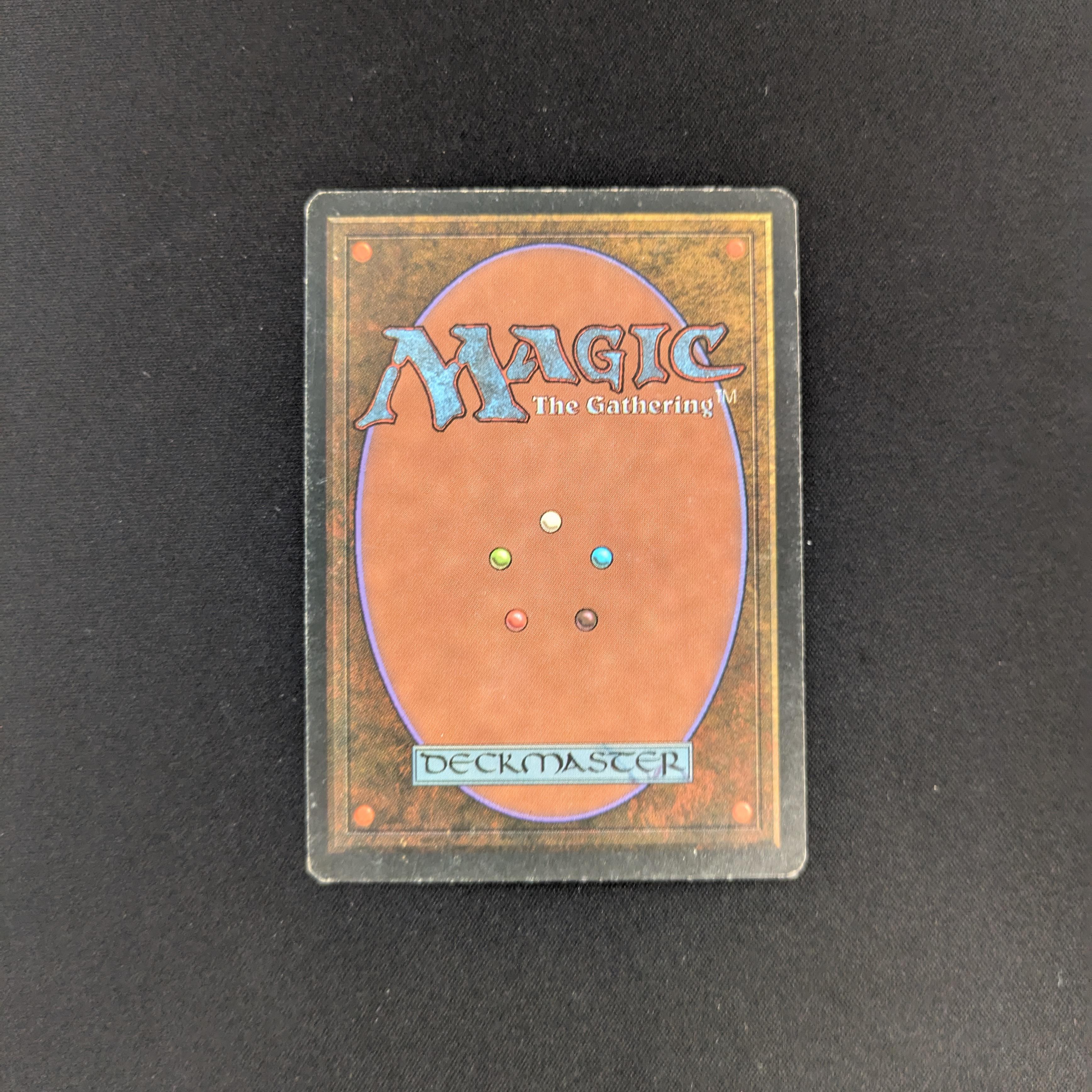 MTG Singles - Bayou - Foreign White Bordered -