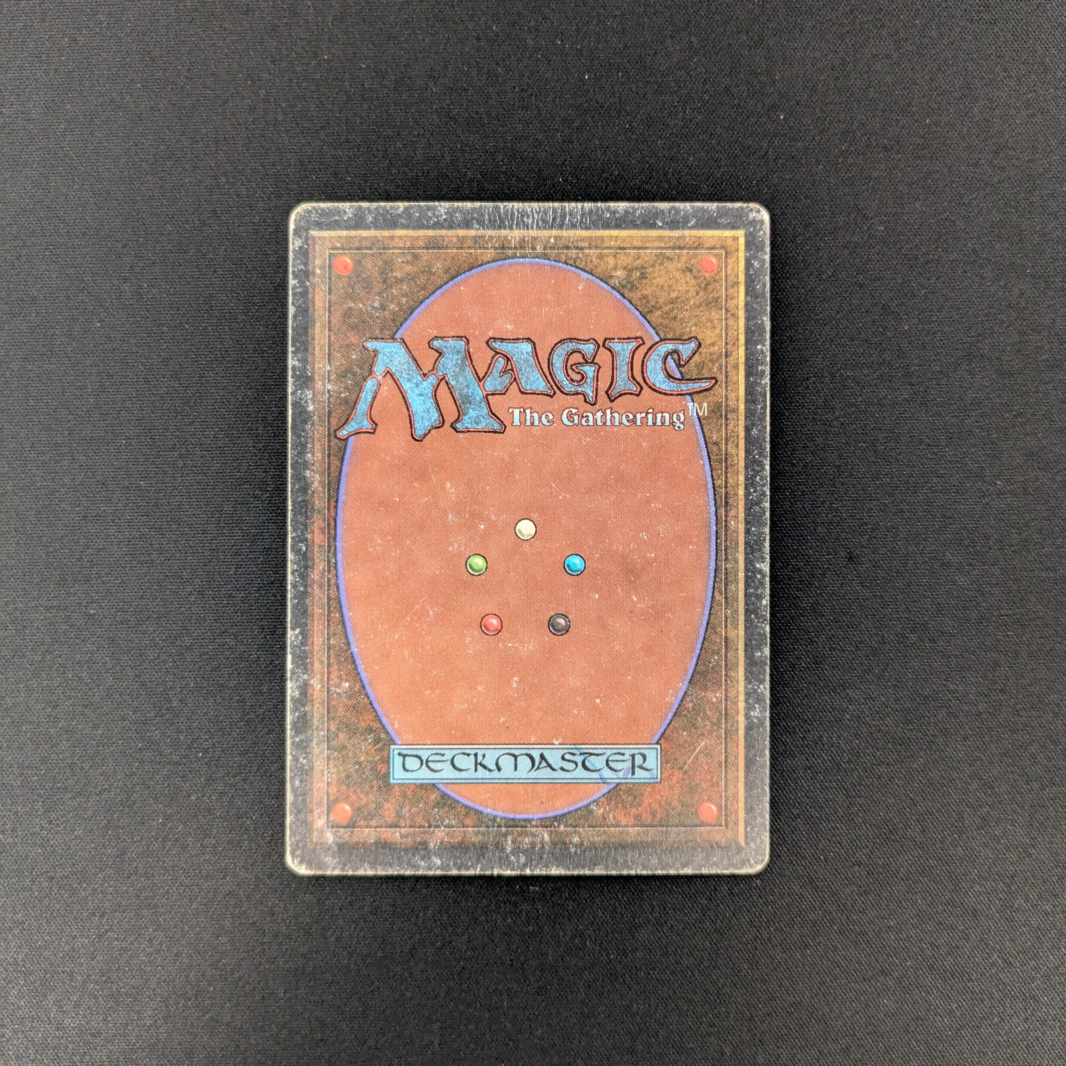 MTG Singles - Taiga - Unlimited -