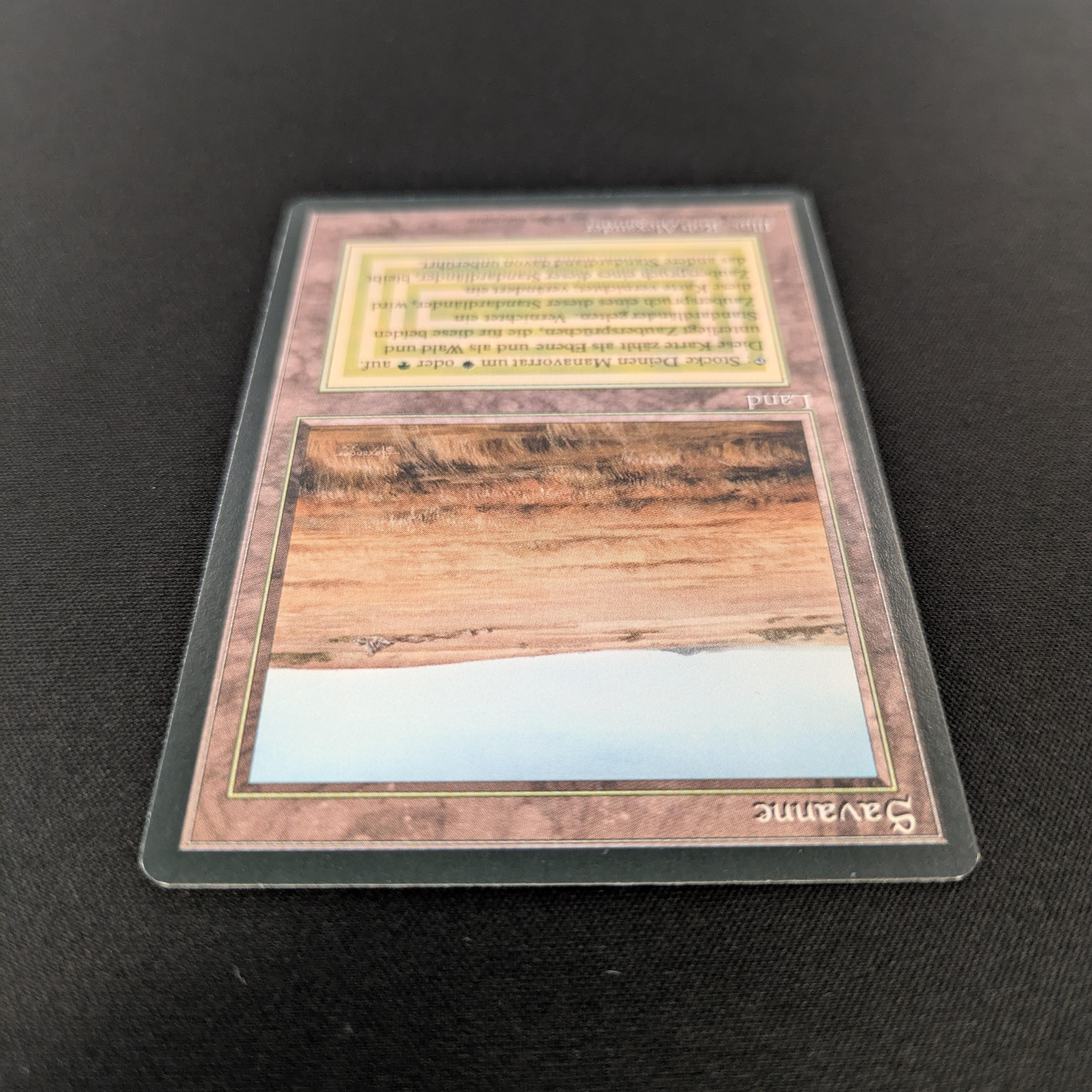 MTG Singles - Savannah - Foreign Black Bordered -