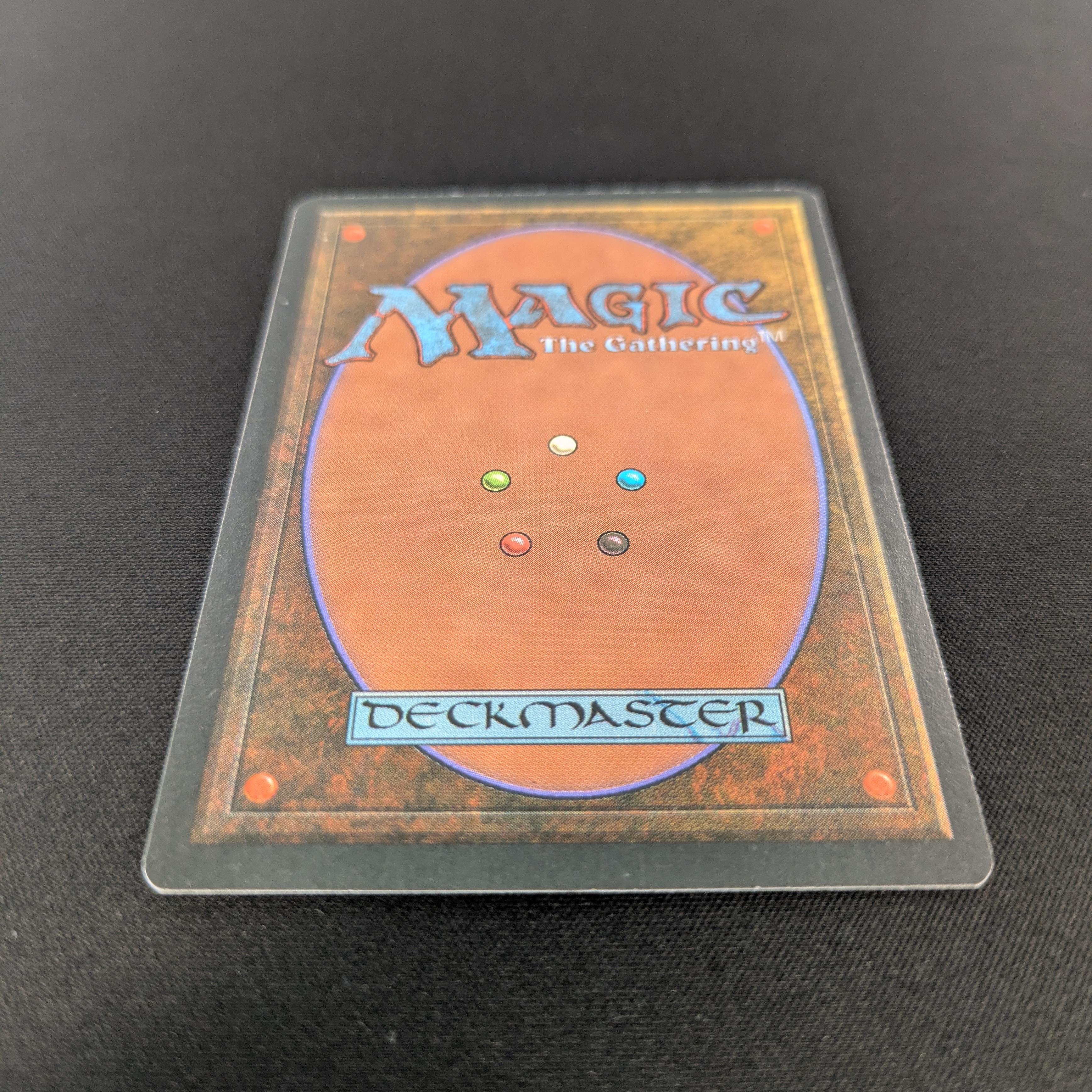 MTG Singles - Savannah - Foreign Black Bordered -