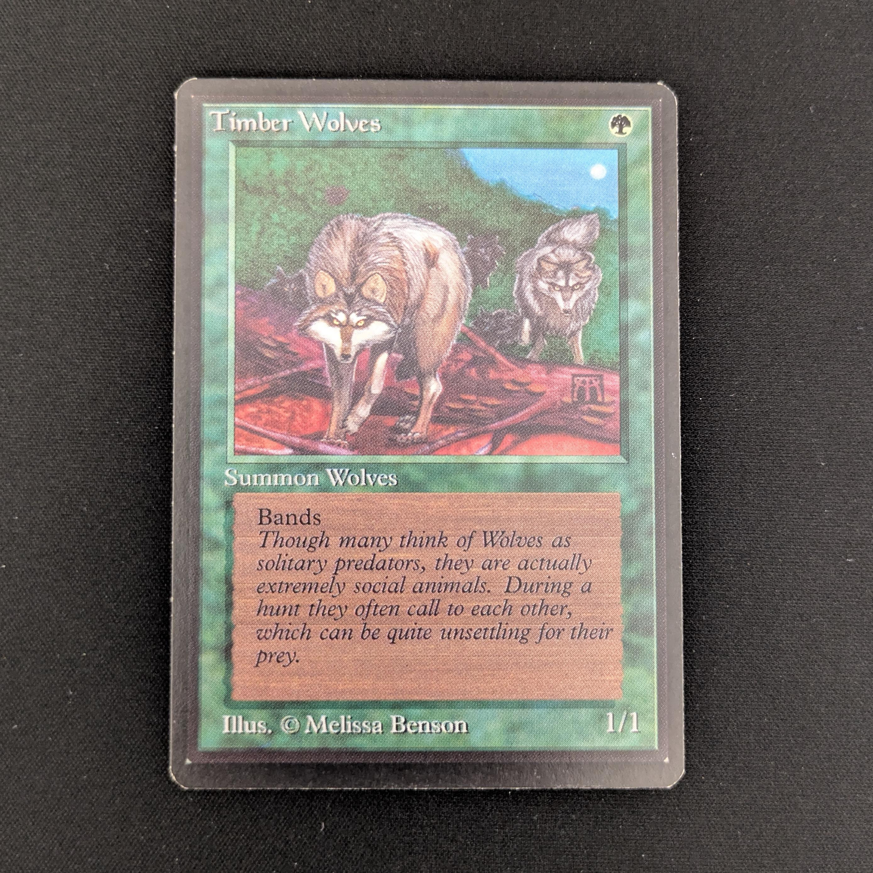 MTG Singles - Timber Wolves - Beta - EX - 25903