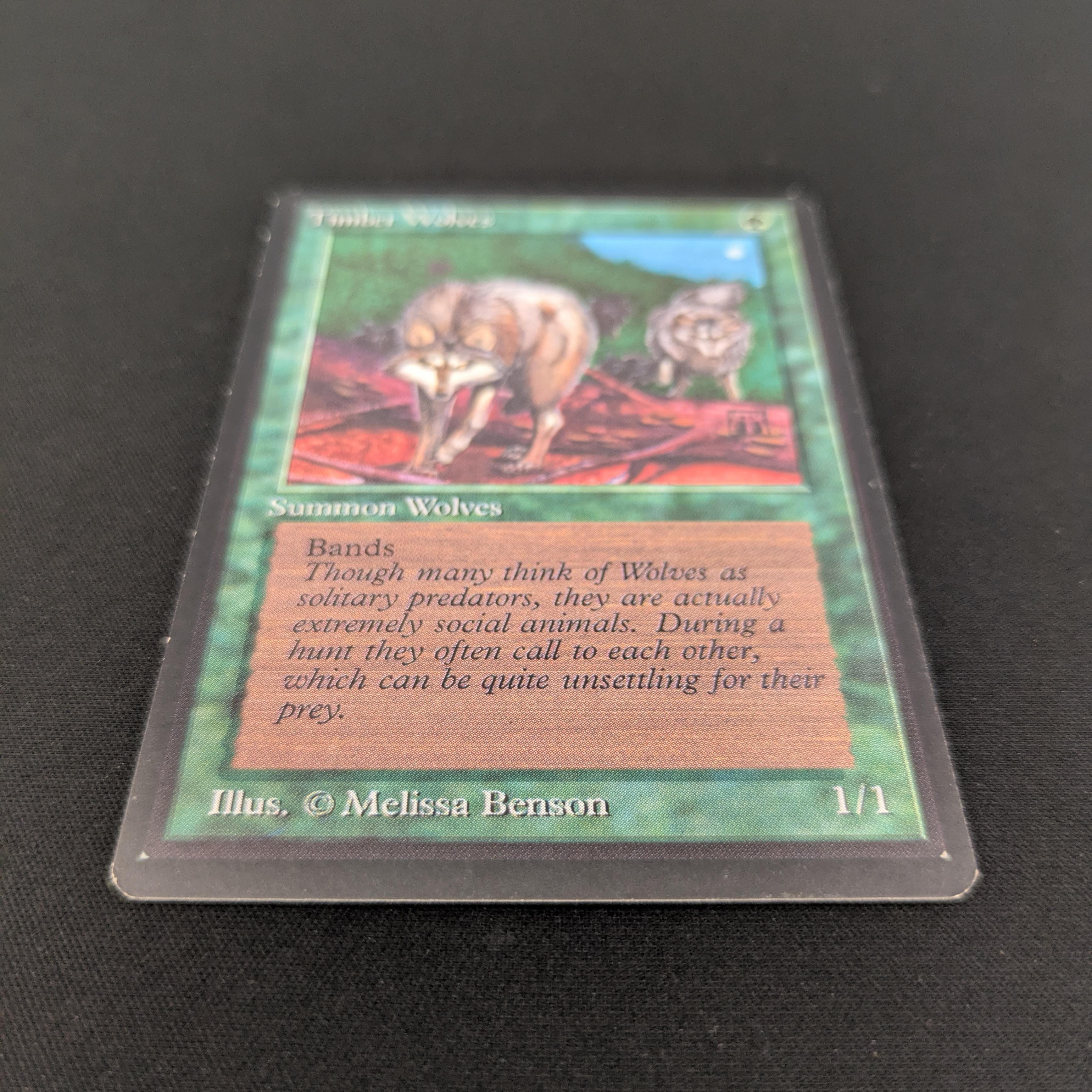 MTG Singles - Timber Wolves - Beta -