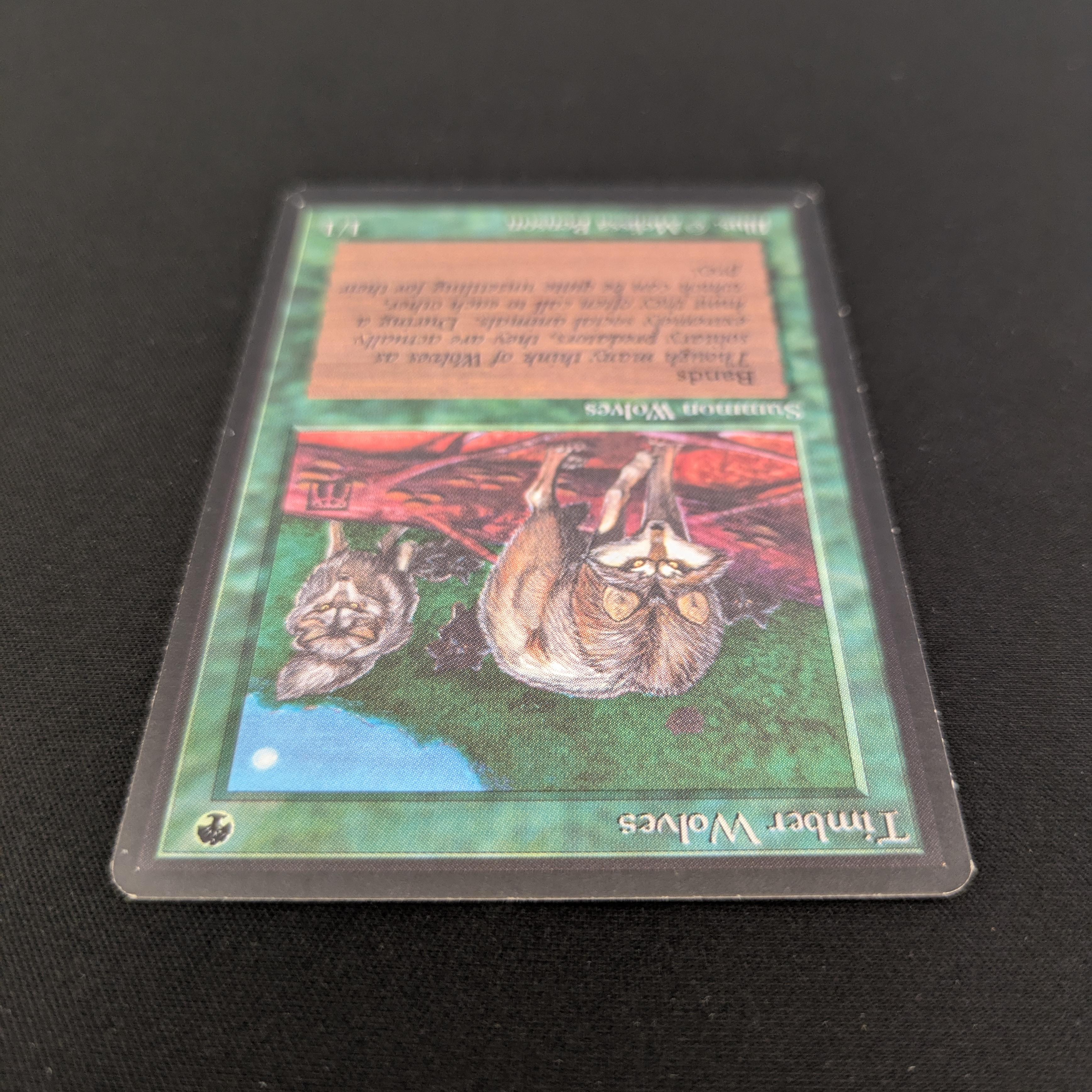 MTG Singles - Timber Wolves - Beta -