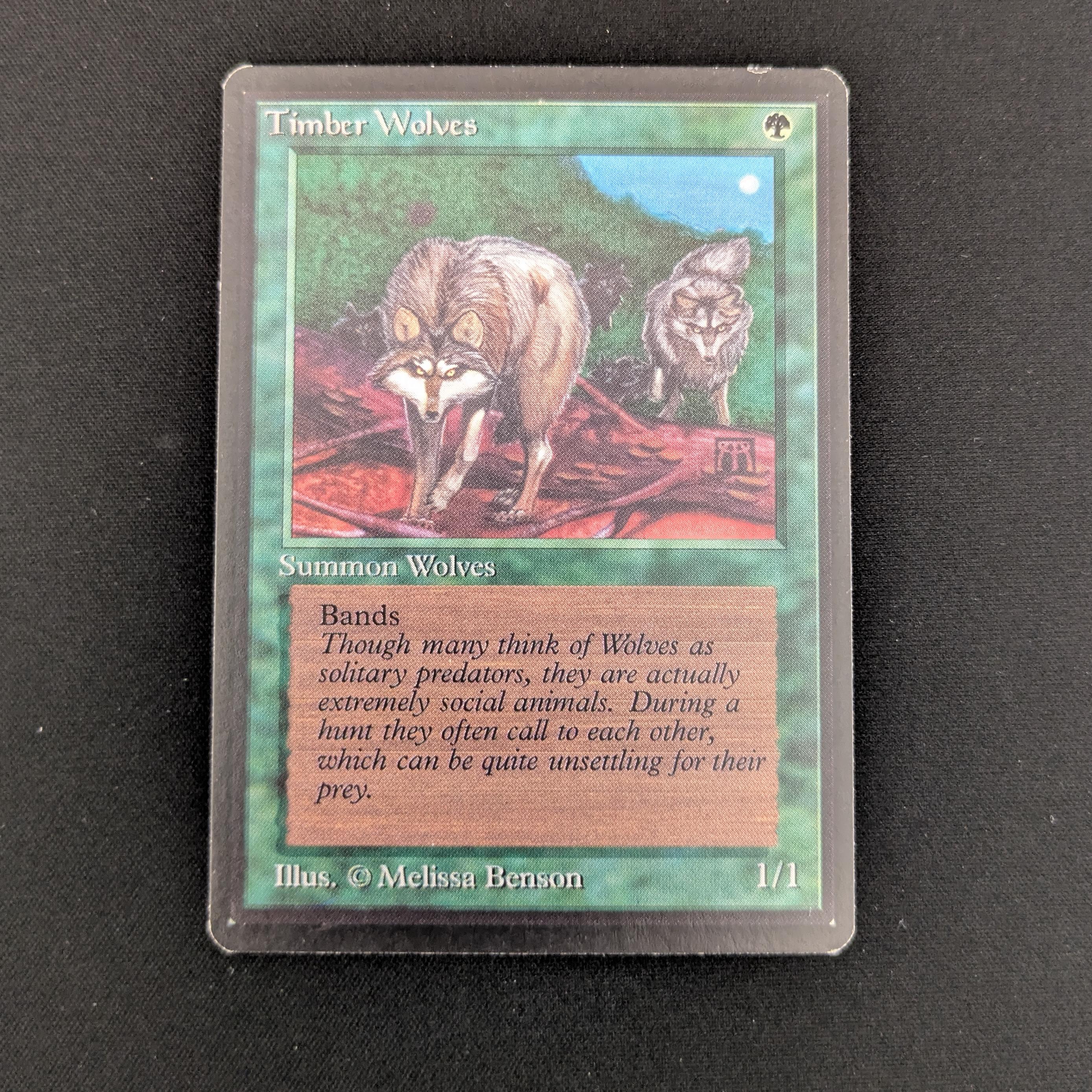 MTG Singles - Timber Wolves - Beta - EX - 25904