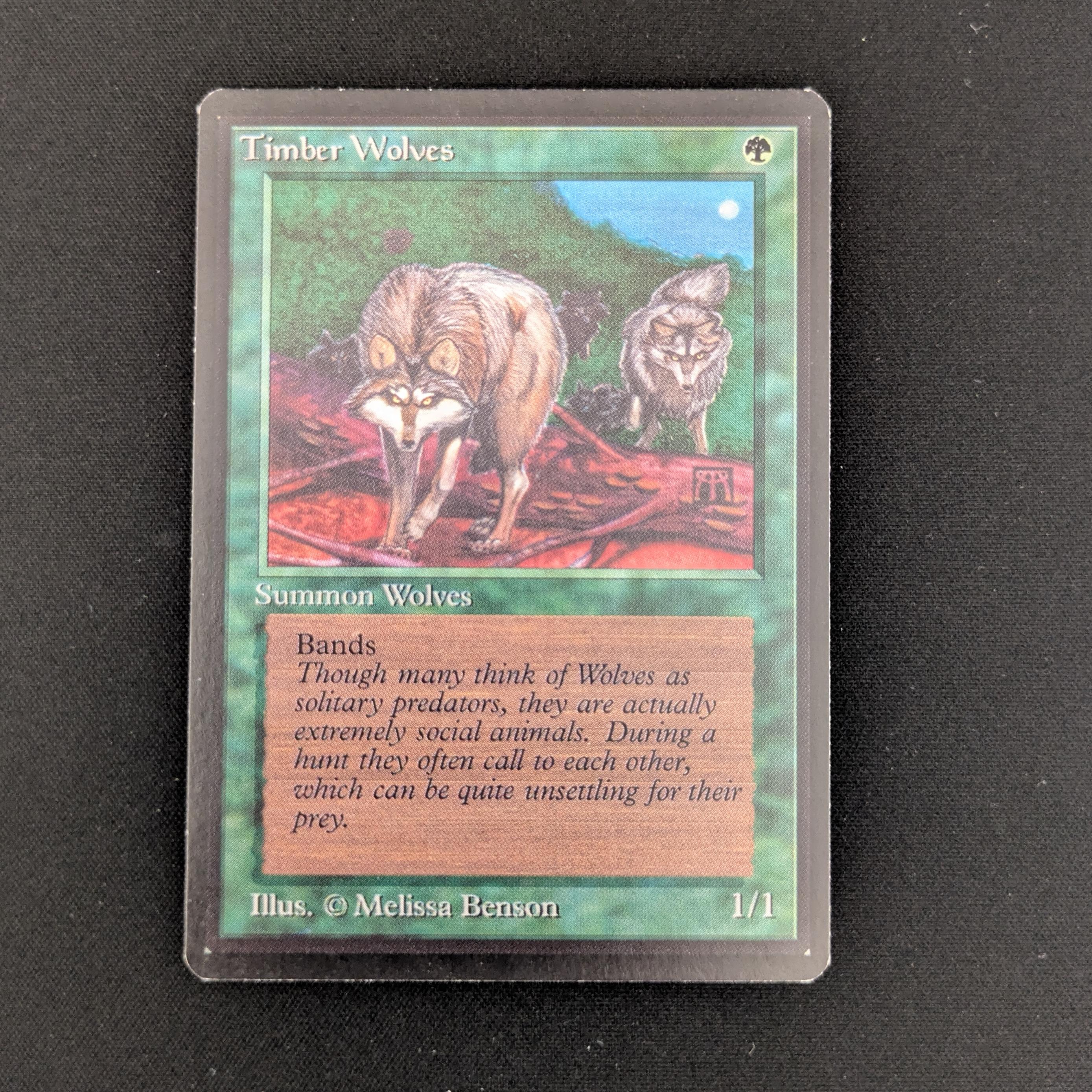 MTG Singles - Timber Wolves - Beta - EX - 25905