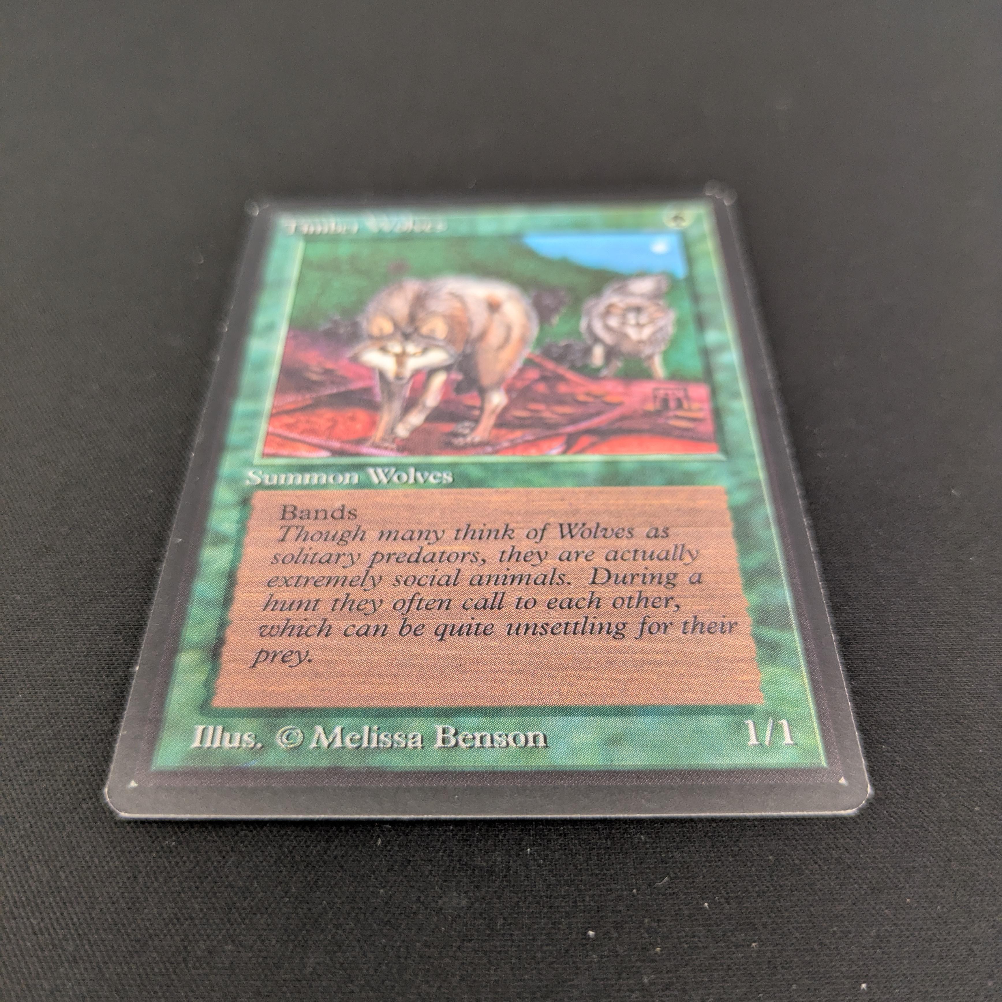 MTG Singles - Timber Wolves - Beta -