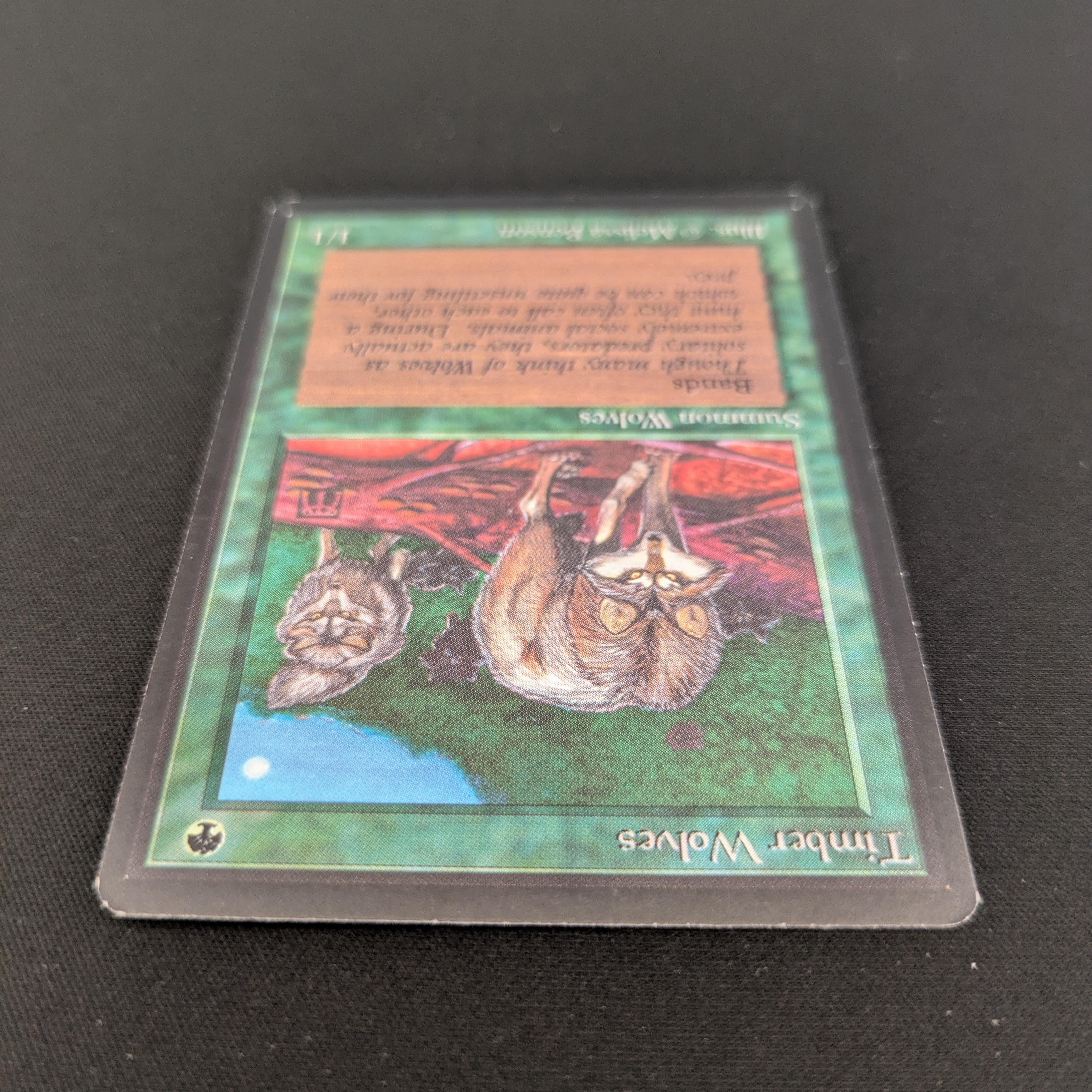 MTG Singles - Timber Wolves - Beta -