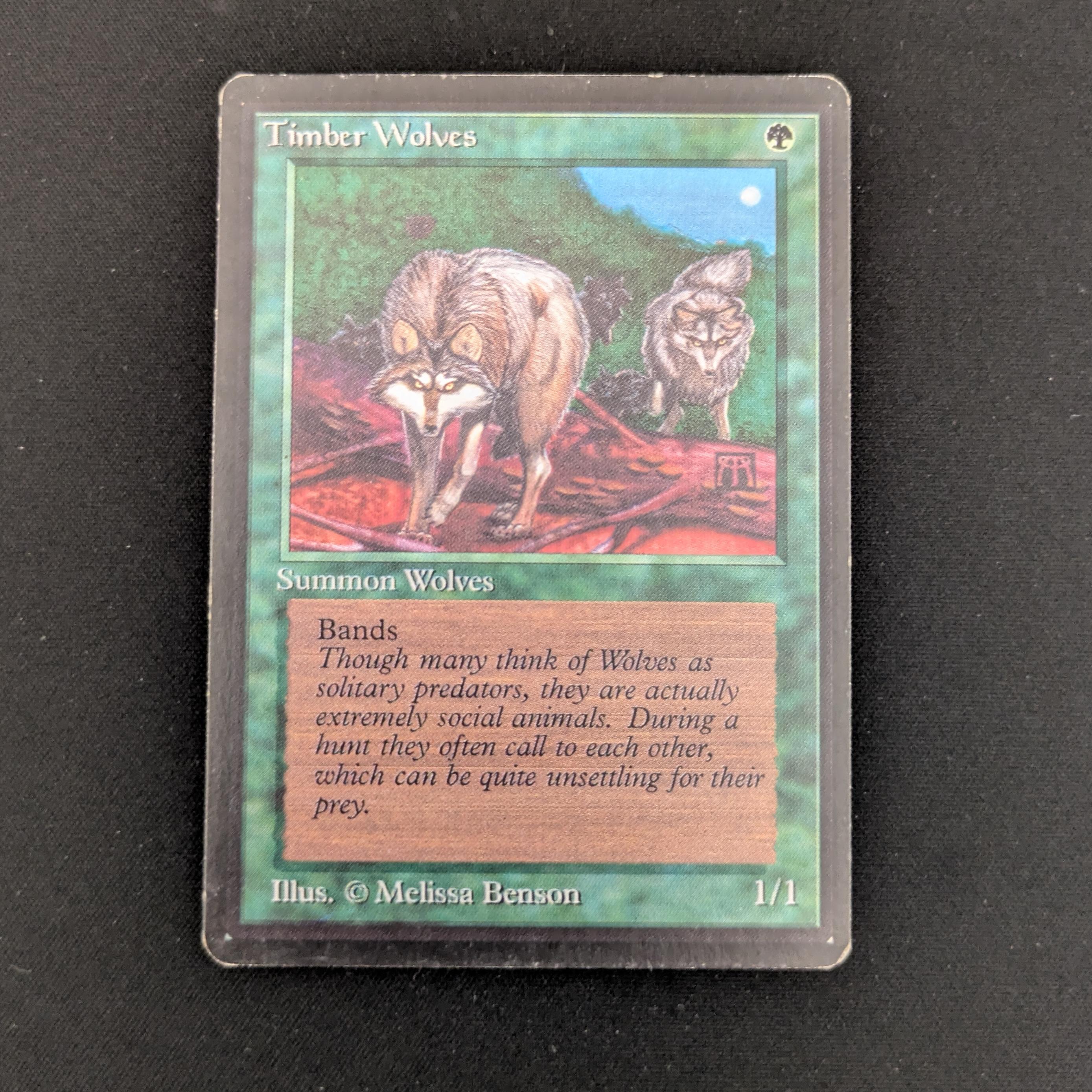 MTG Singles - Timber Wolves - Beta - LP - 25906