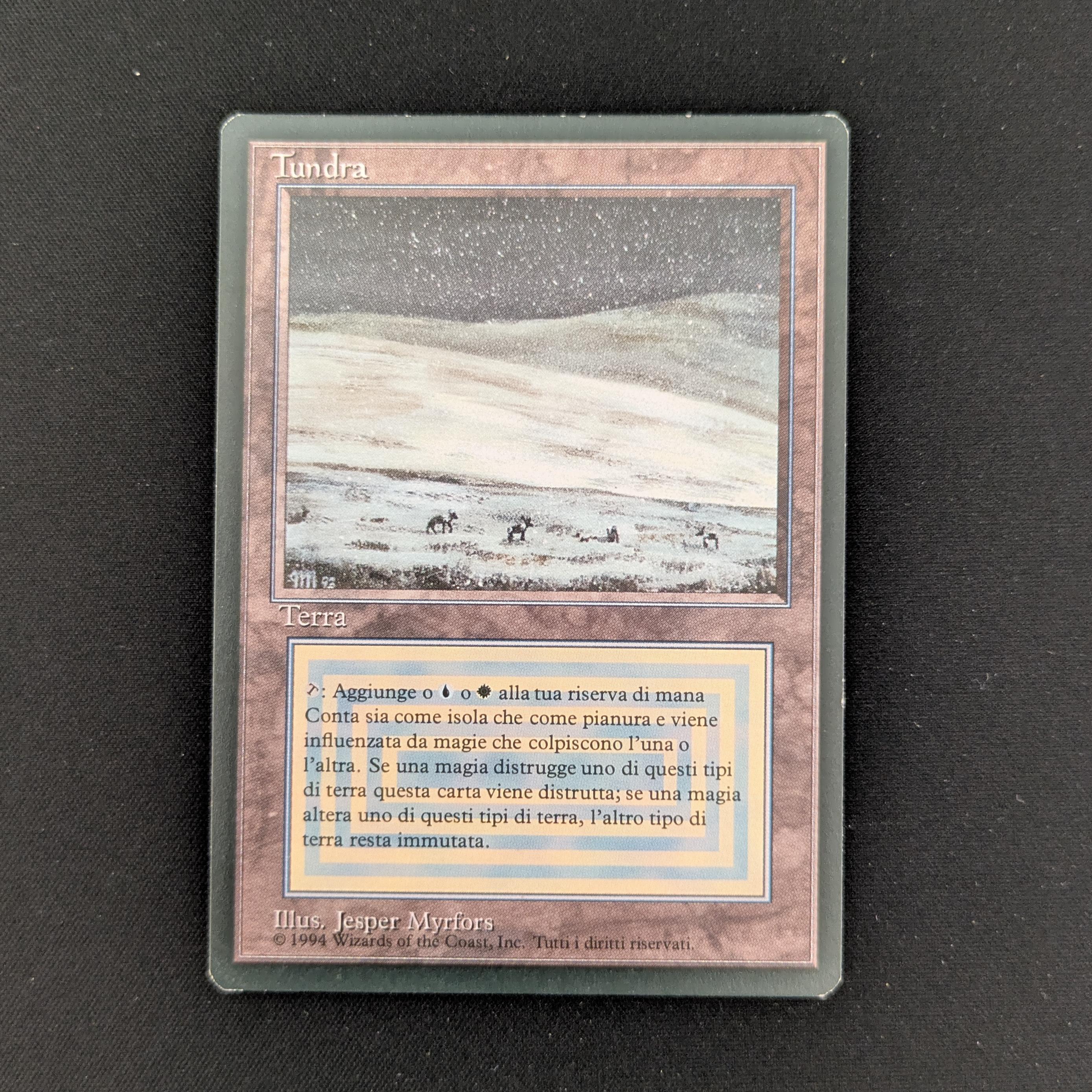 MTG Singles - Tundra - Foreign Black Bordered - Italian - EX - 25973