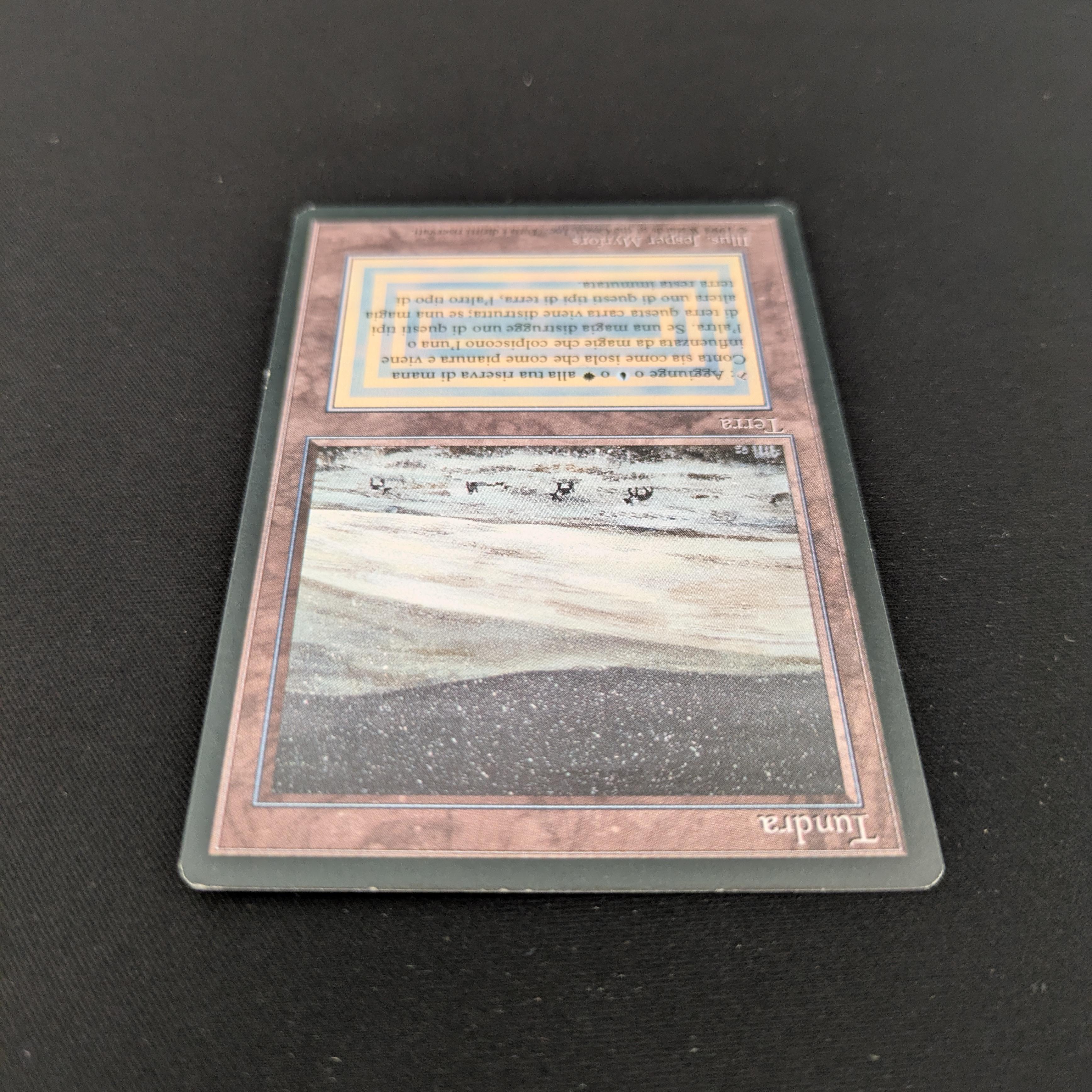 MTG Singles - Tundra - Foreign Black Bordered -